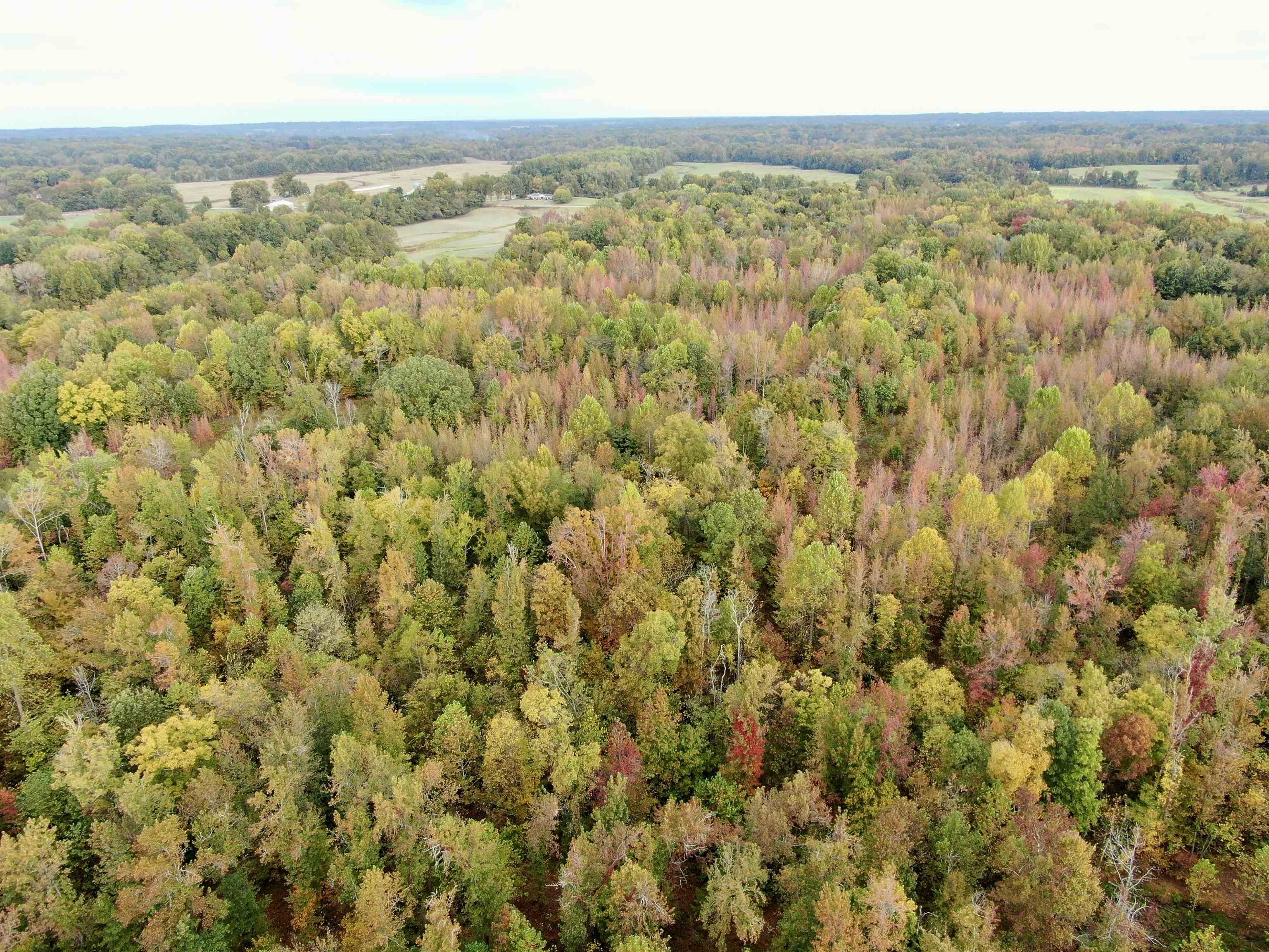 William Switch Rd Property Photo 37