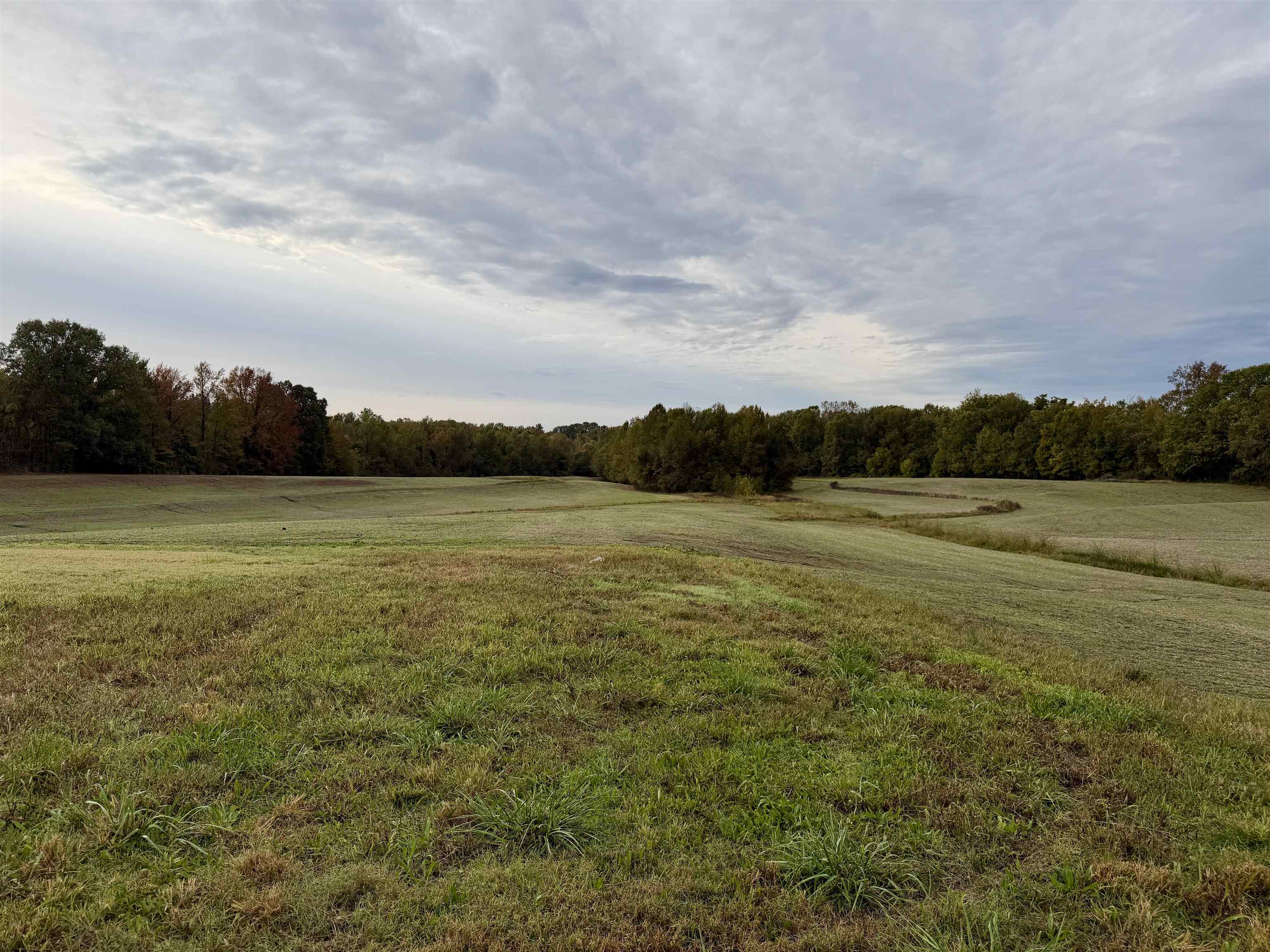 William Switch Rd Property Photo 38