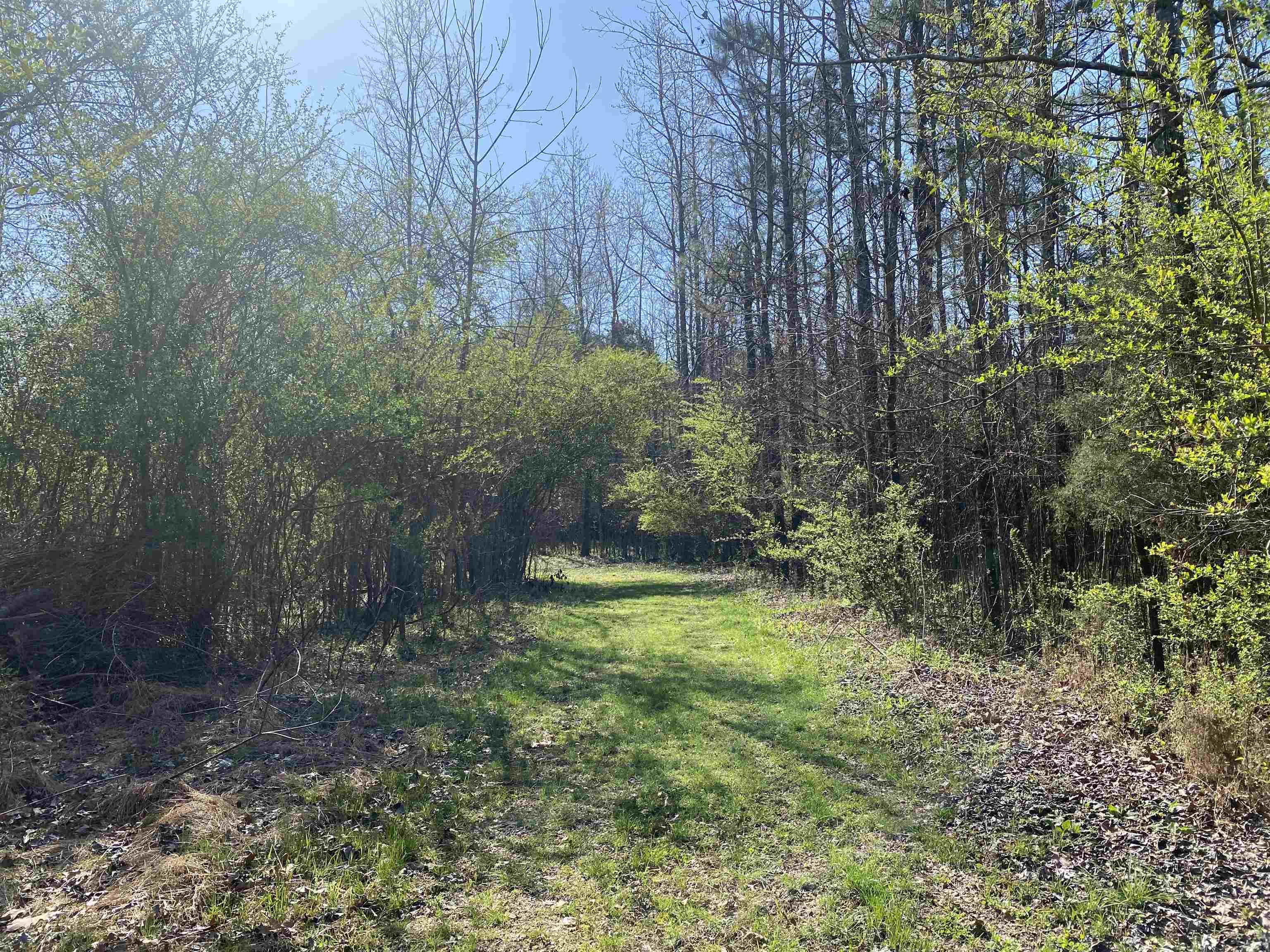 24.17 Ac 194 Hwy Property Photo 12