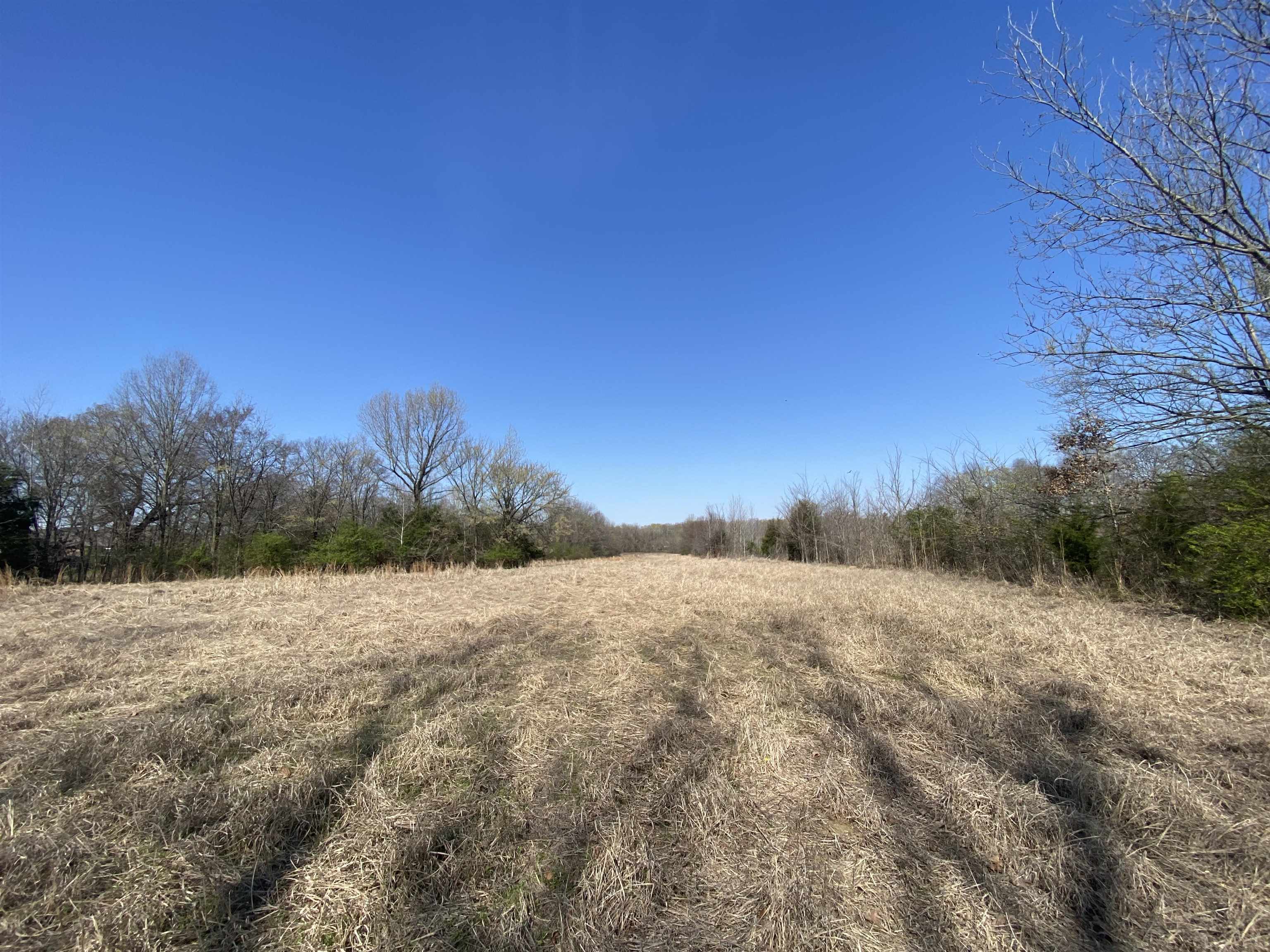 12.79 Ac Wirt Rd Property Photo 1
