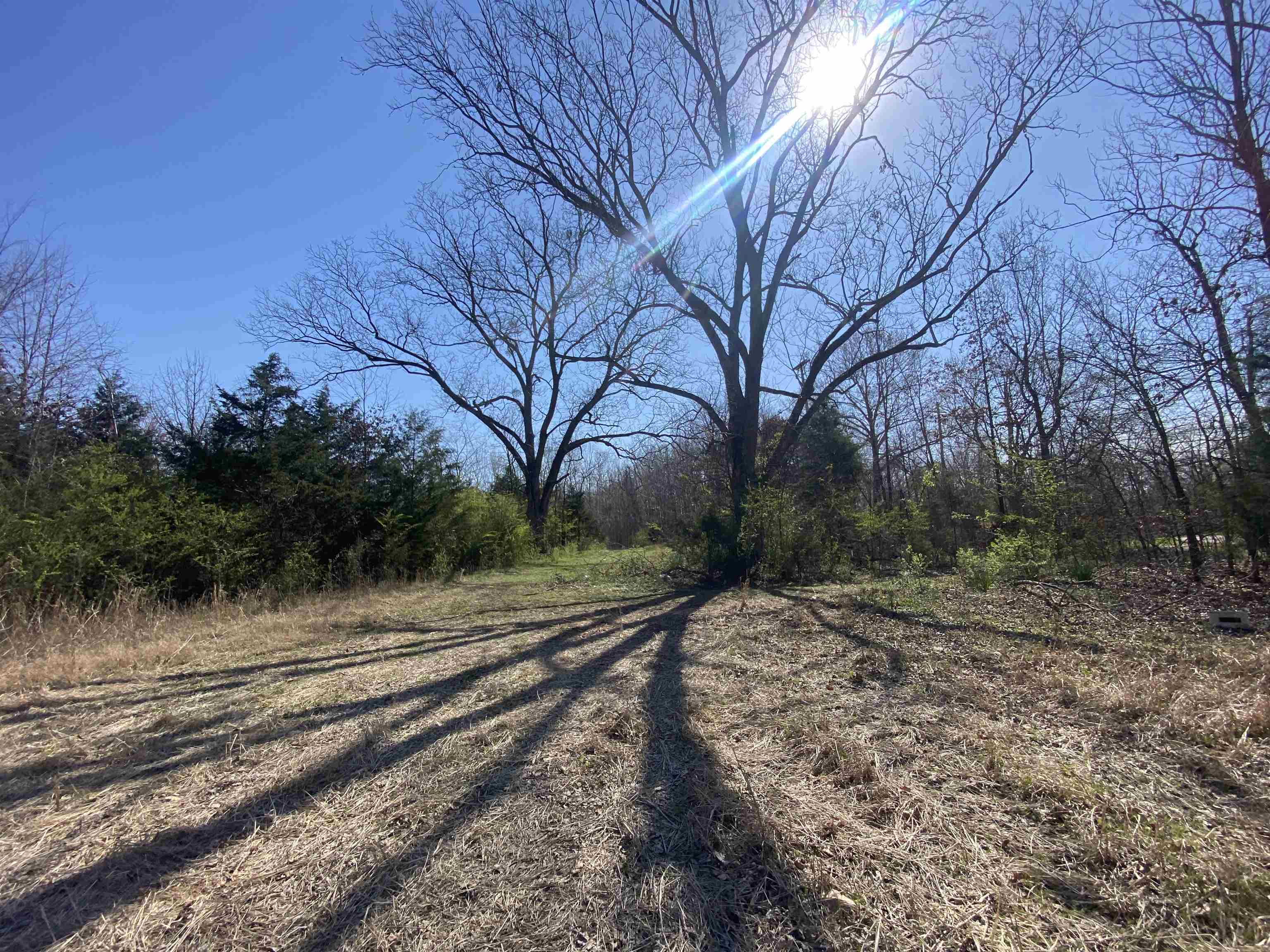 12.79 Ac Wirt Rd Property Photo 6