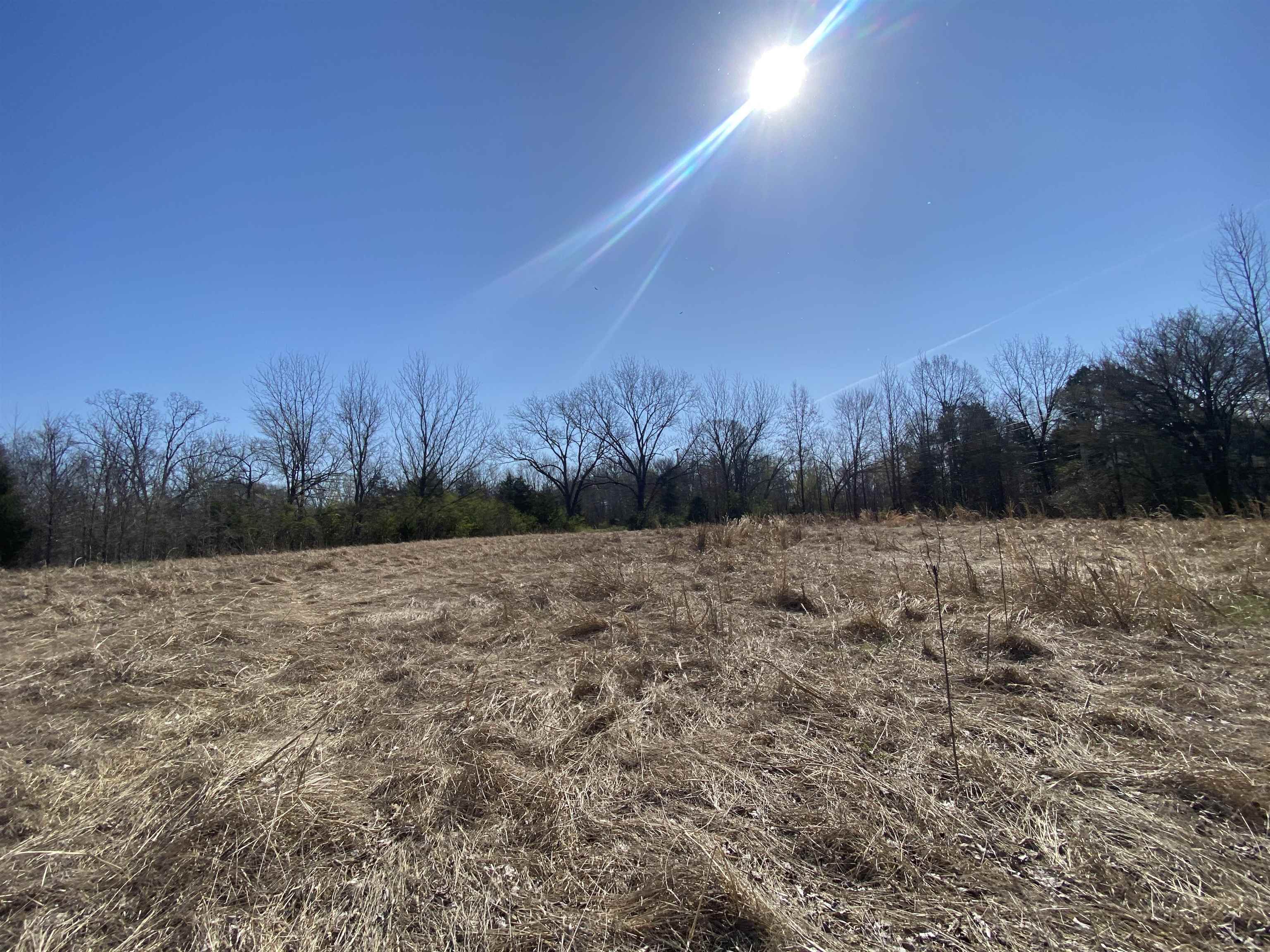 12.79 Ac Wirt Rd Property Photo 7