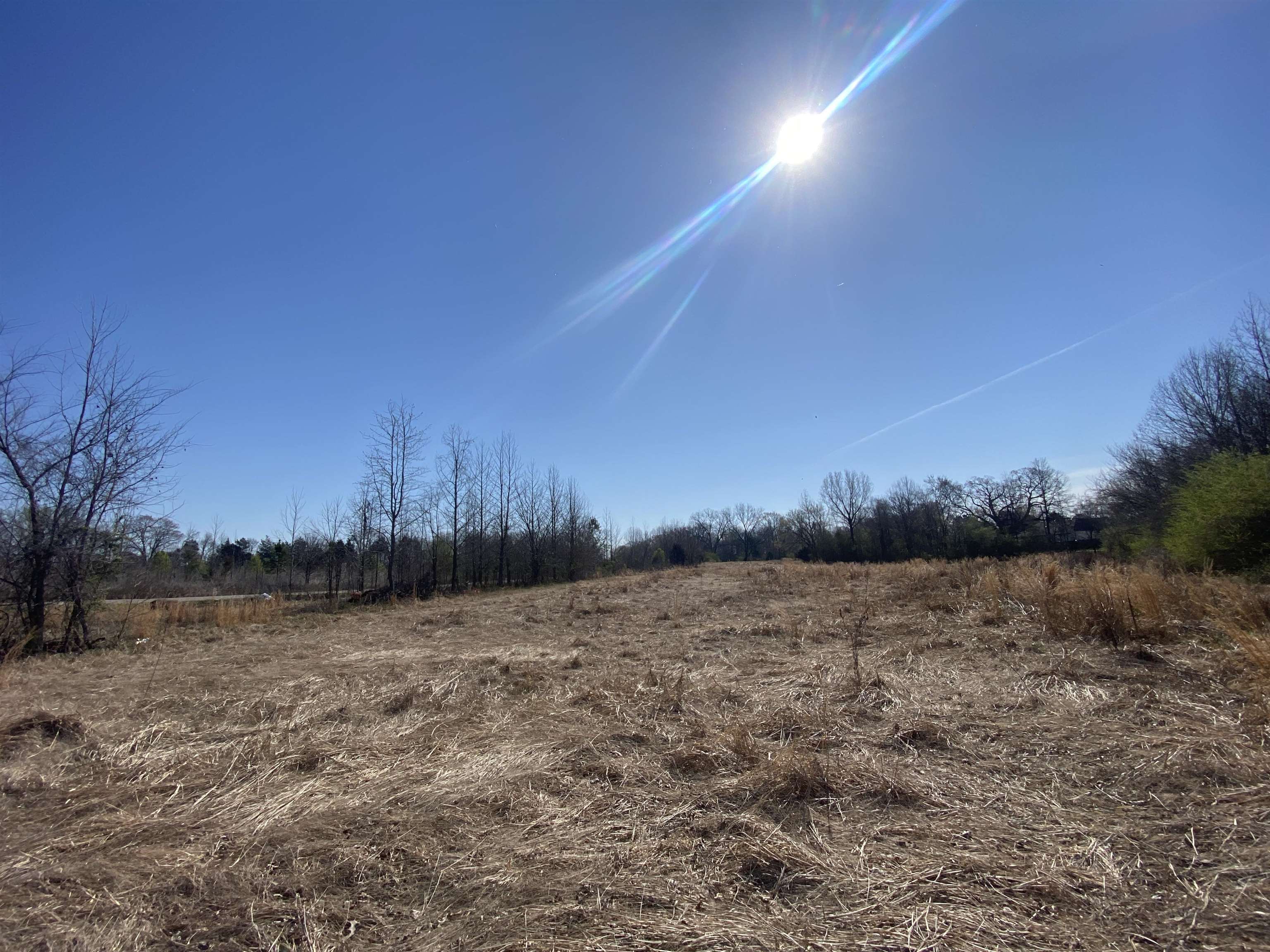 12.79 Ac Wirt Rd Property Photo 8