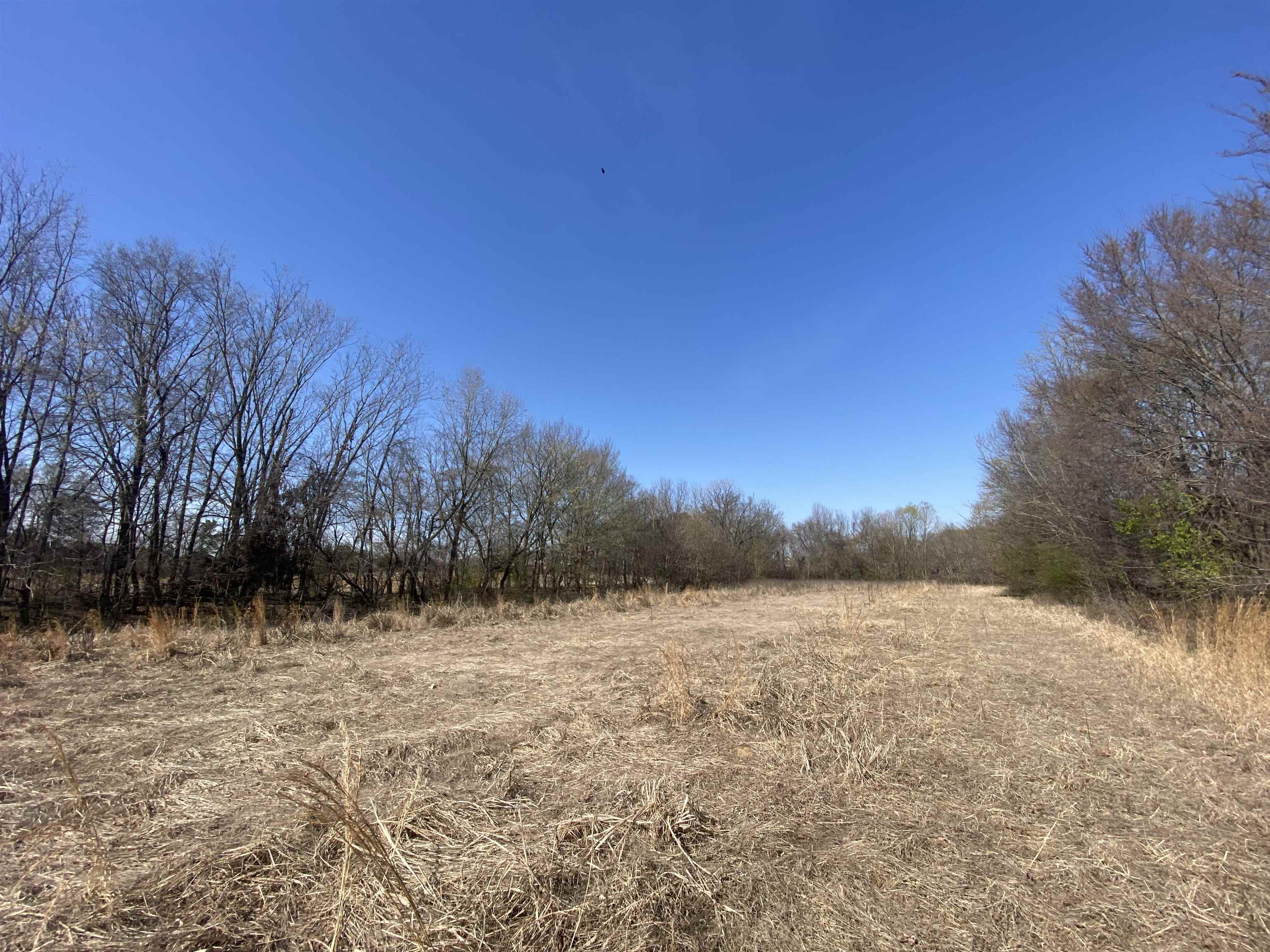 12.79 Ac Wirt Rd Property Photo 11