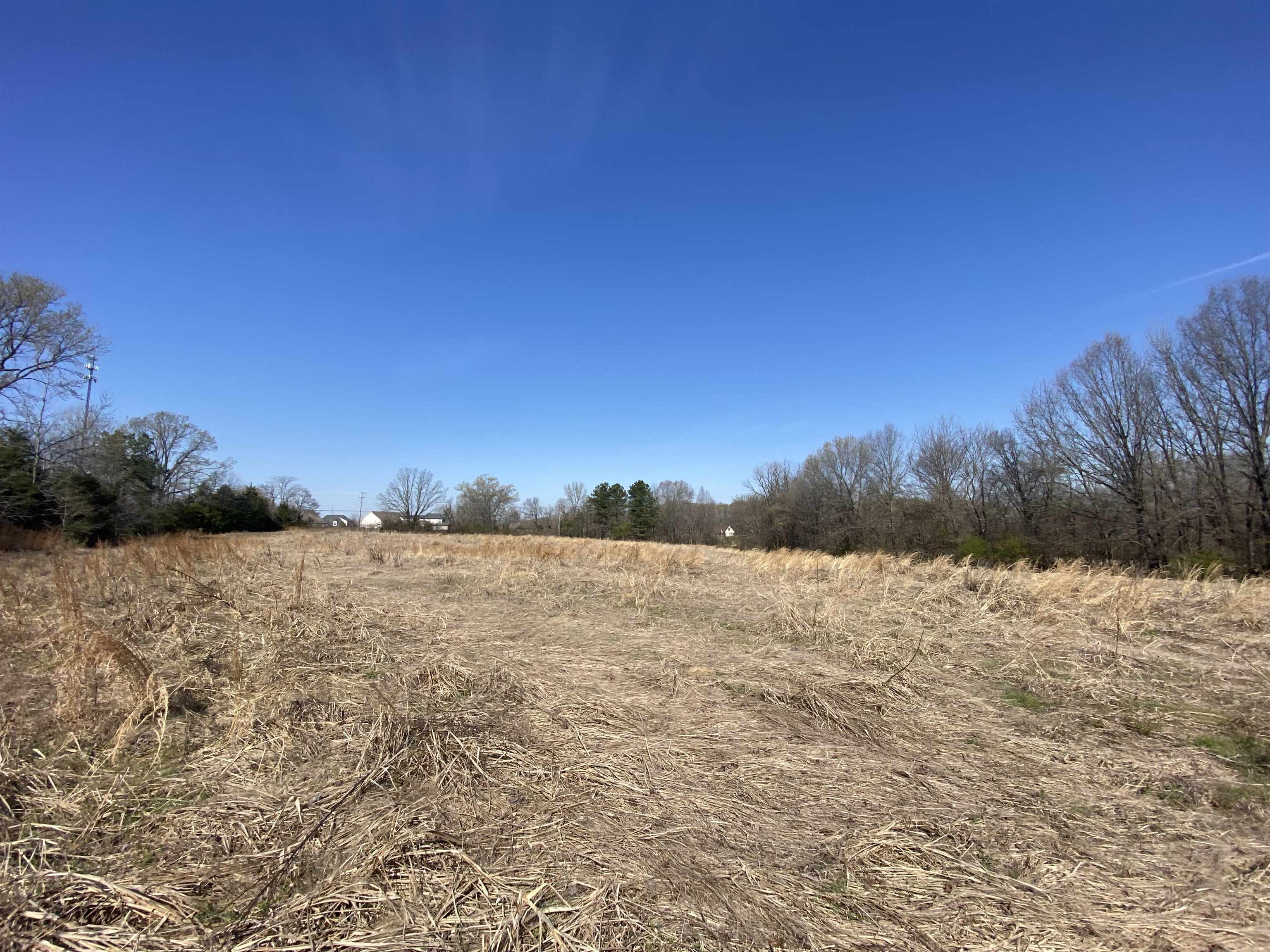 12.79 Ac Wirt Rd Property Photo 13
