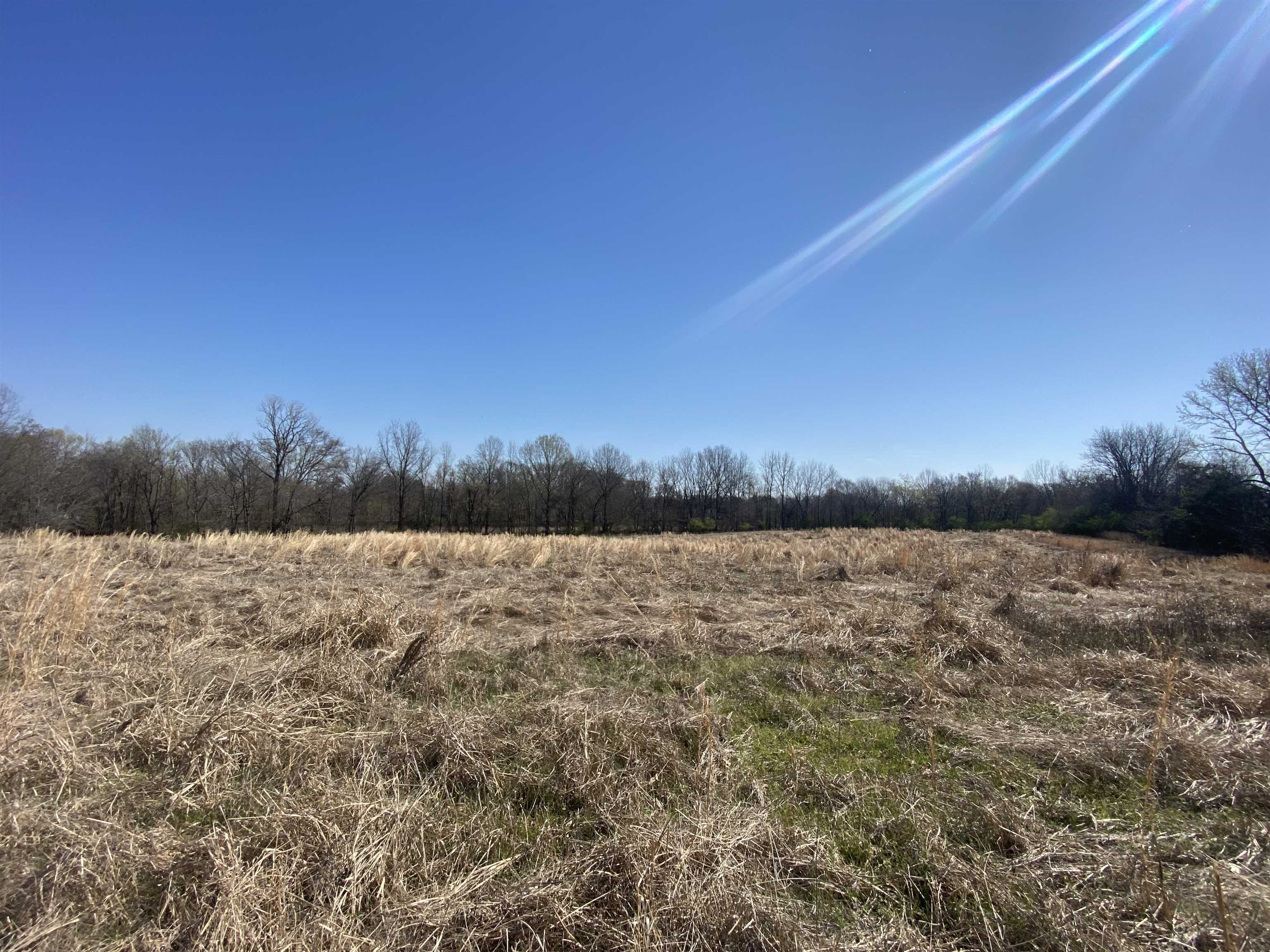 12.79 Ac Wirt Rd Property Photo 14