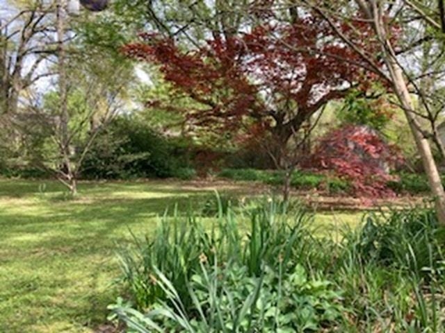 564 Alexander St Property Photo 27