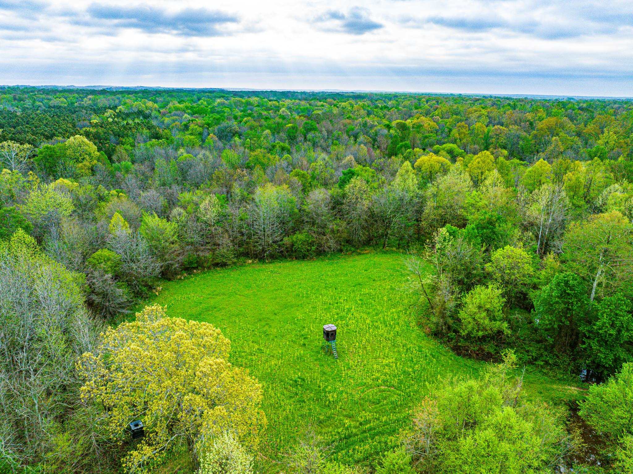 280 Fields Rd Property Photo 8