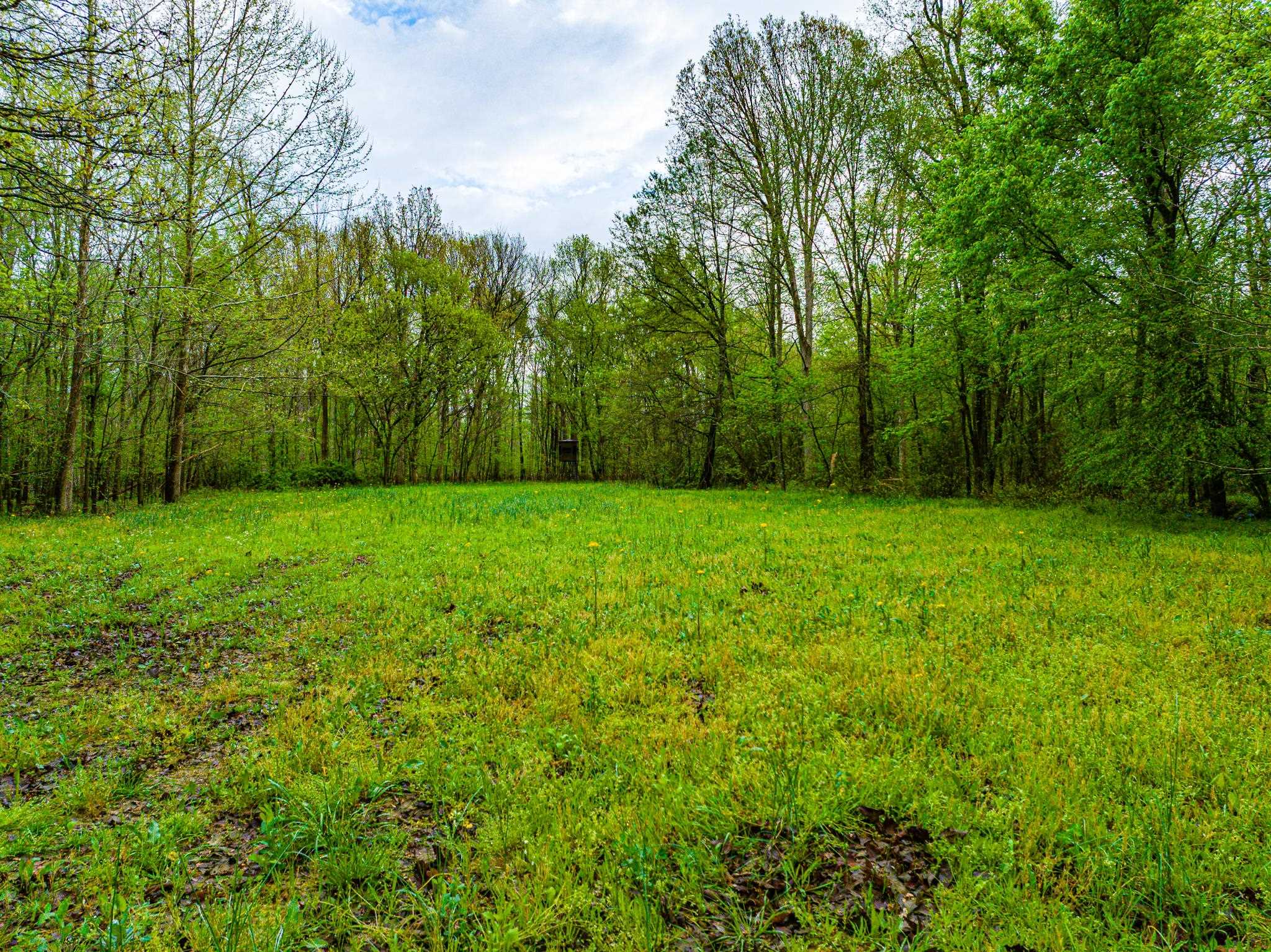 280 Fields Rd Property Photo 14