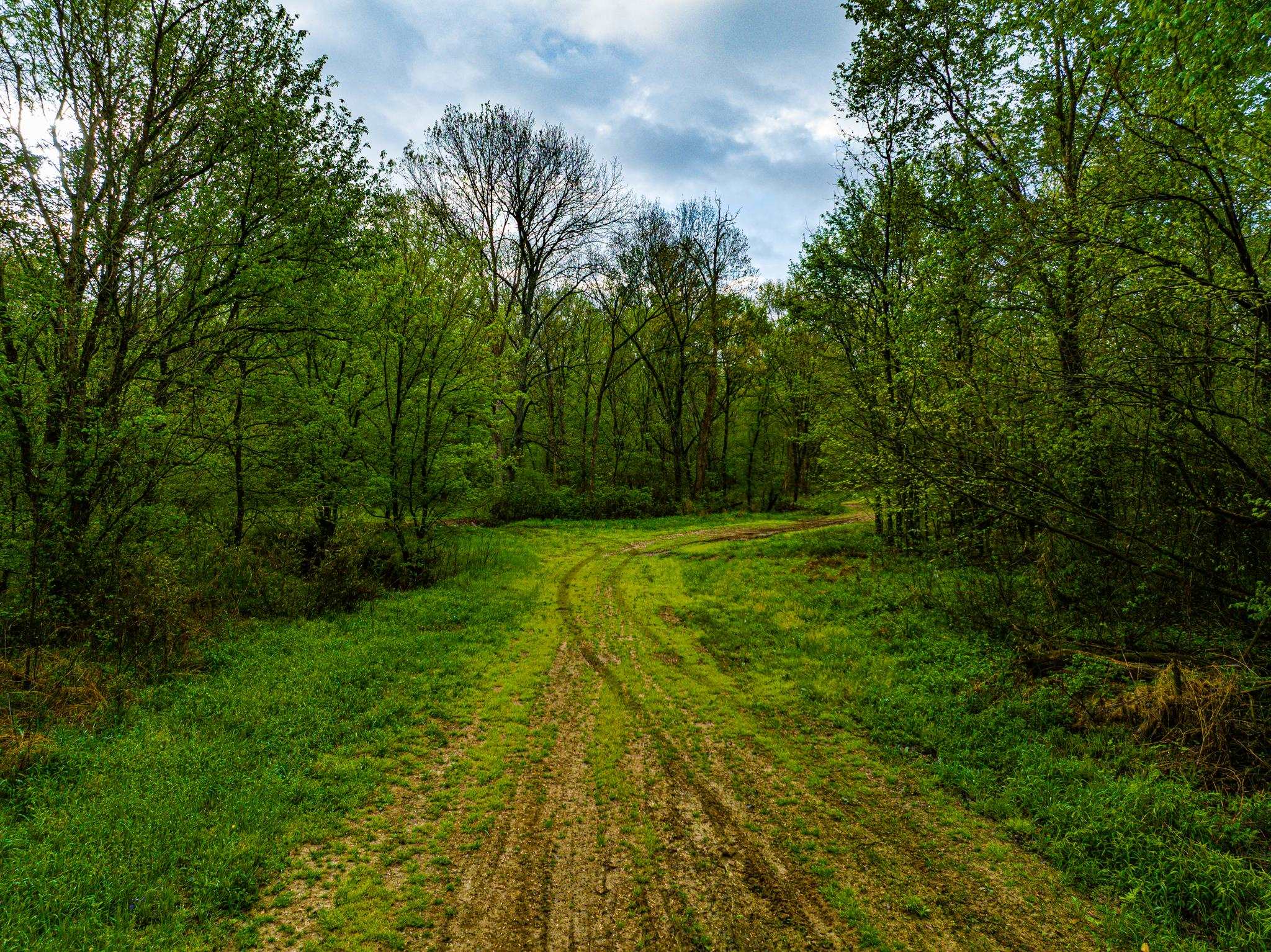 280 Fields Rd Property Photo 15