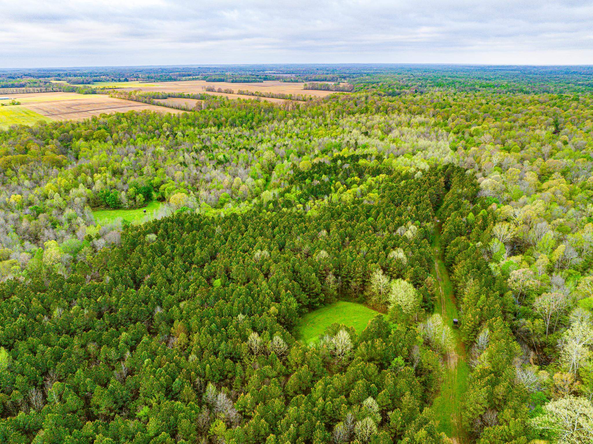 280 Fields Rd Property Photo 17