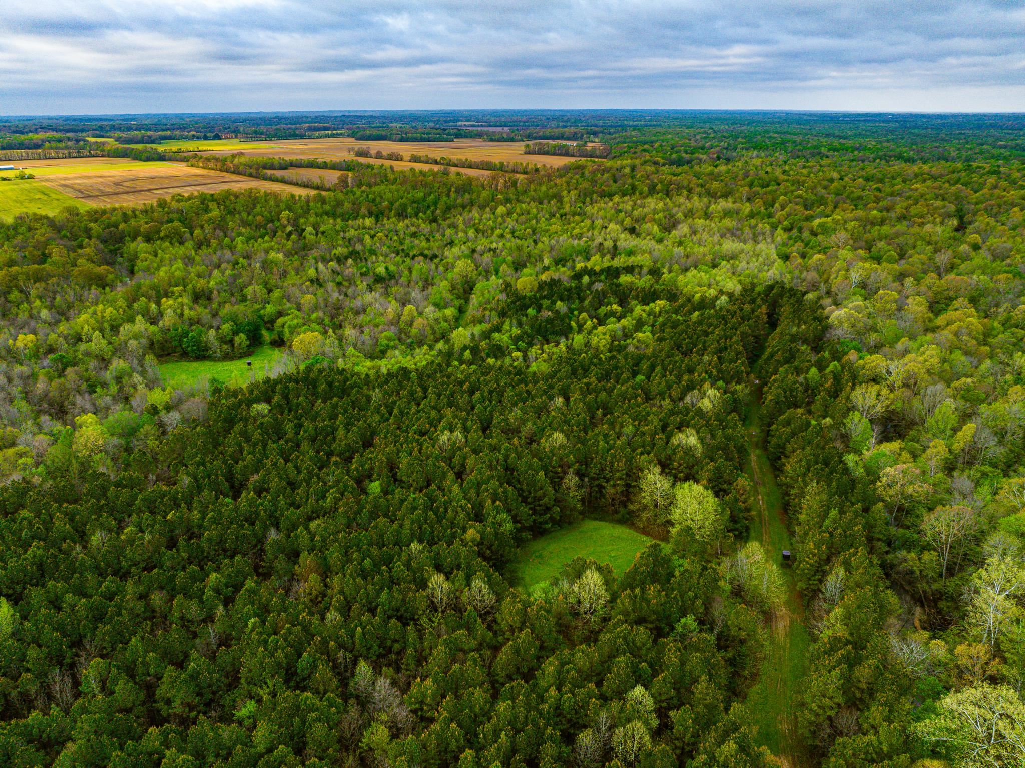 280 Fields Rd Property Photo 18