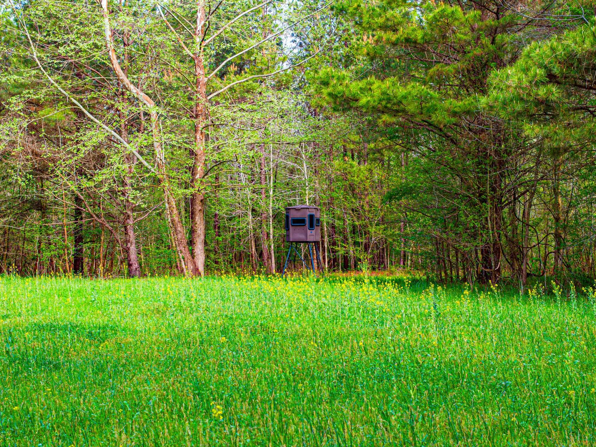280 Fields Rd Property Photo 22