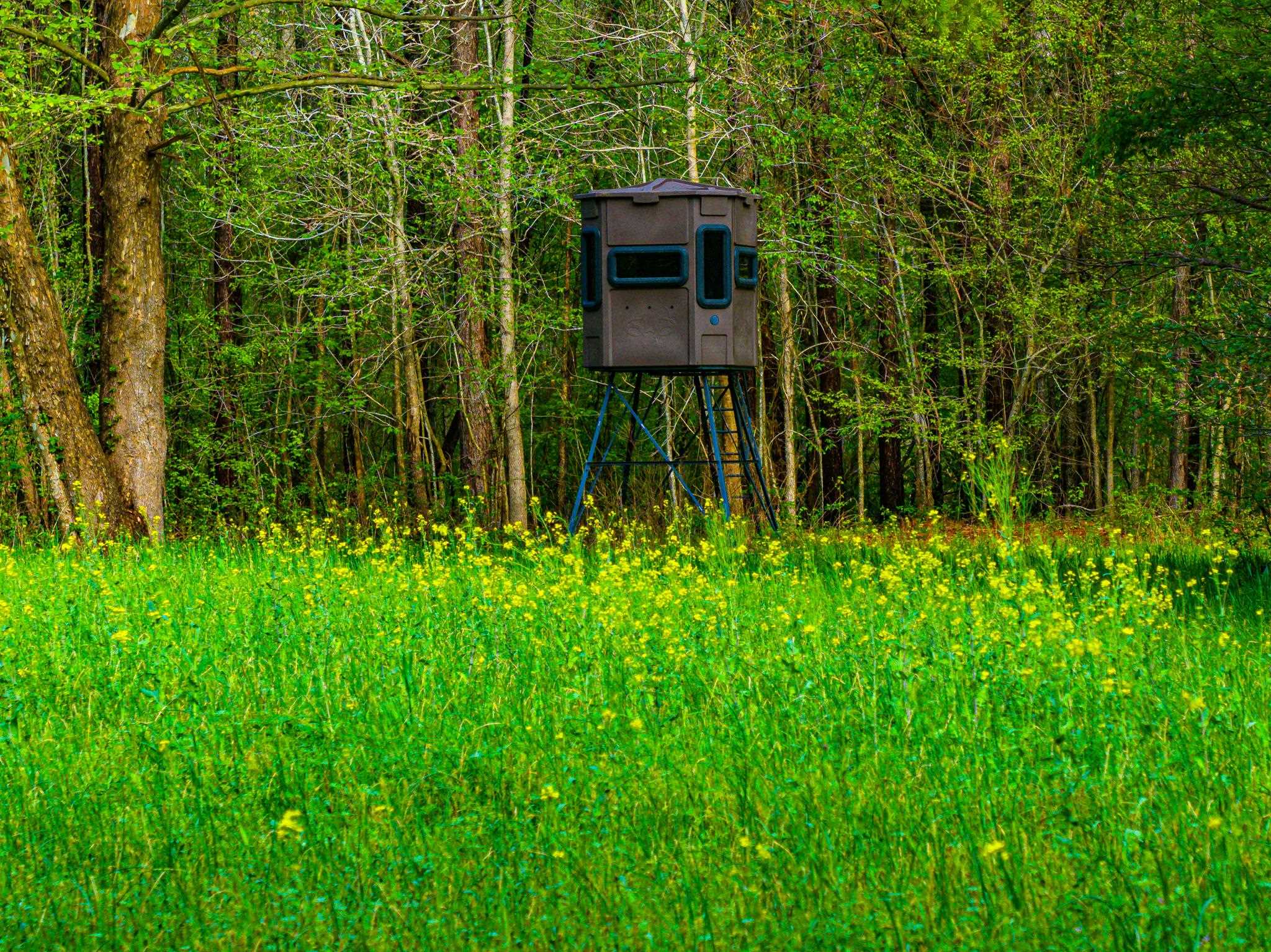 280 Fields Rd Property Photo 23