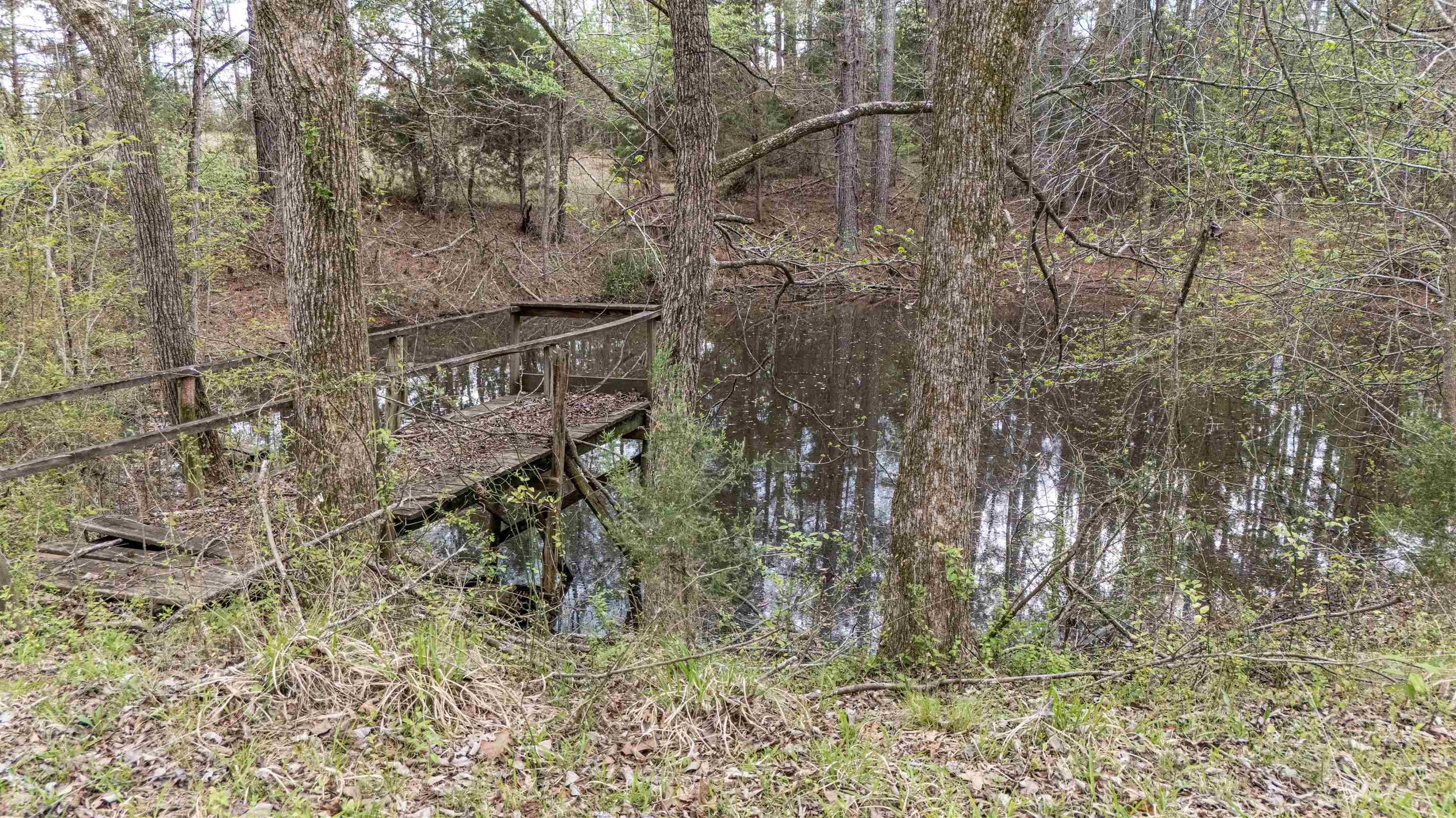 1040 Pocahontas Rd Property Photo 13