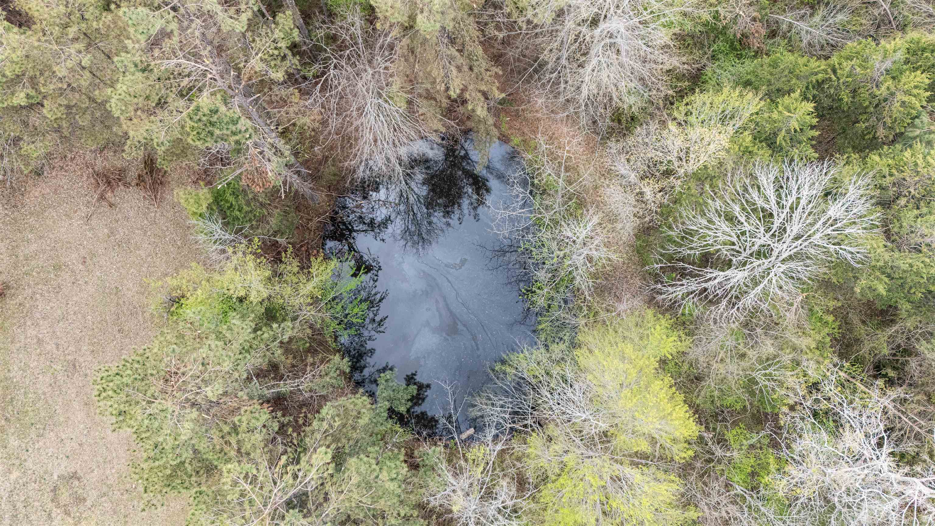 1040 Pocahontas Rd Property Photo 14