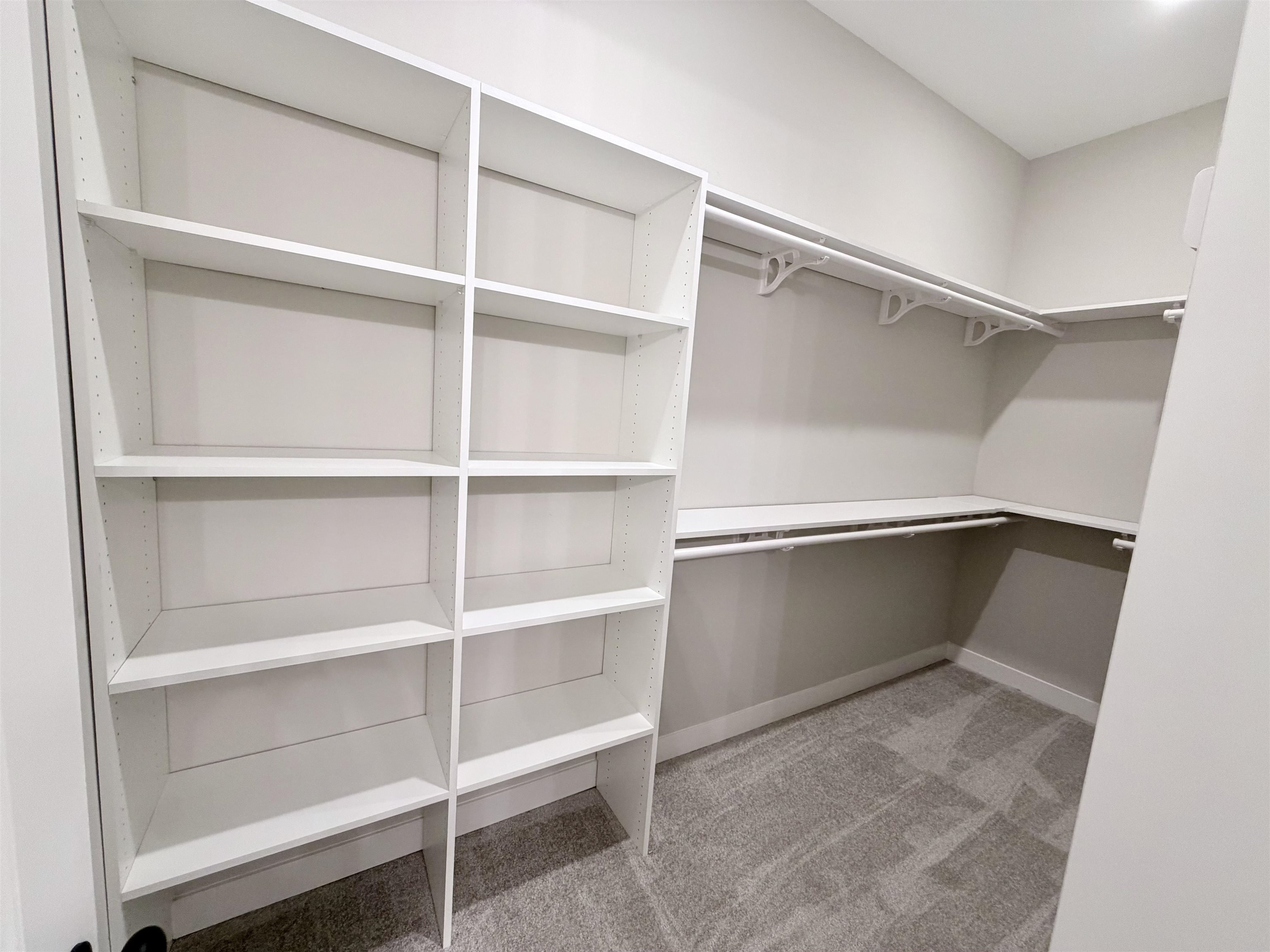 10230 Louanne Dr Property Photo 22
