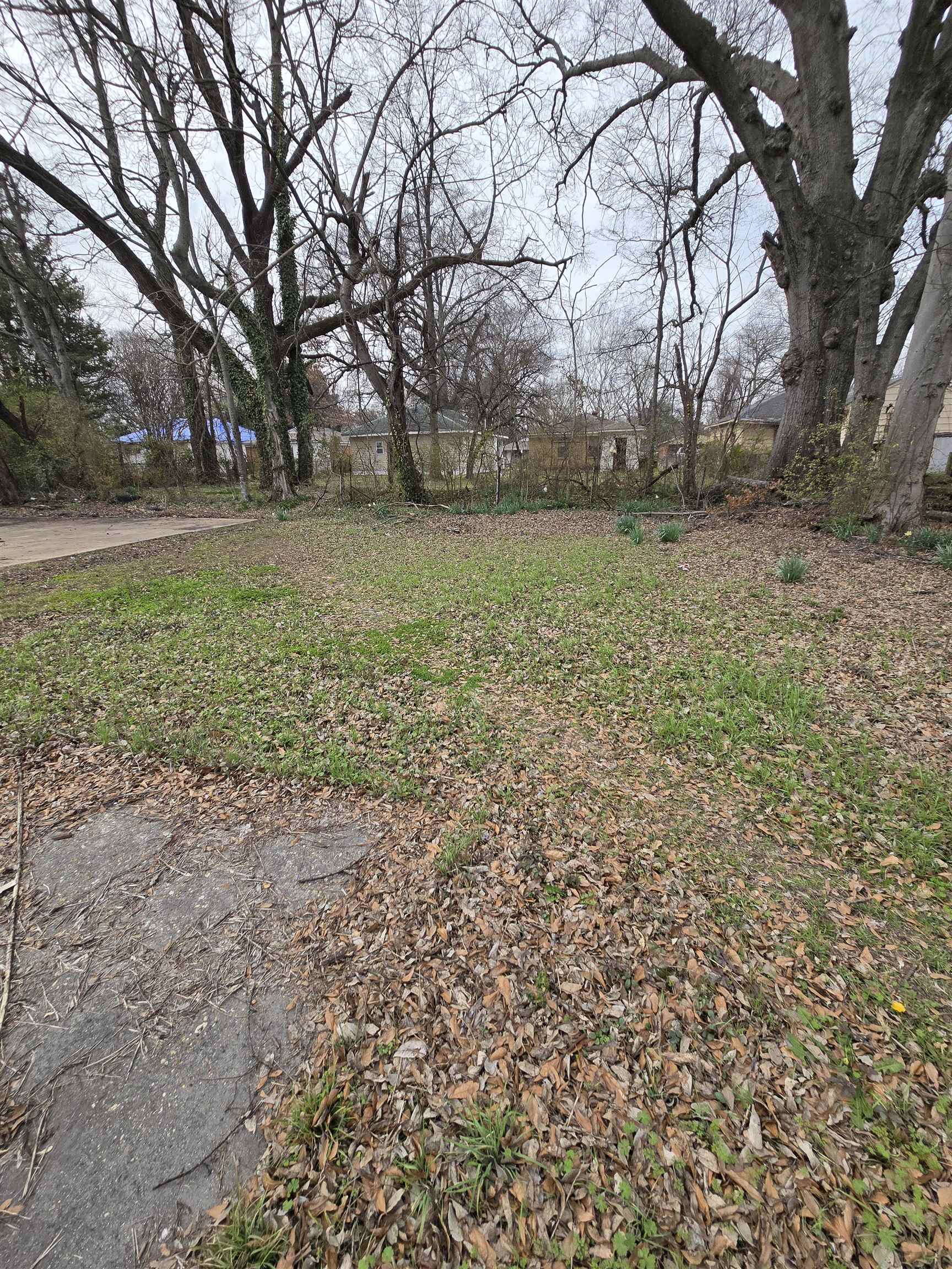 1495 Maplewood St Property Photo 18