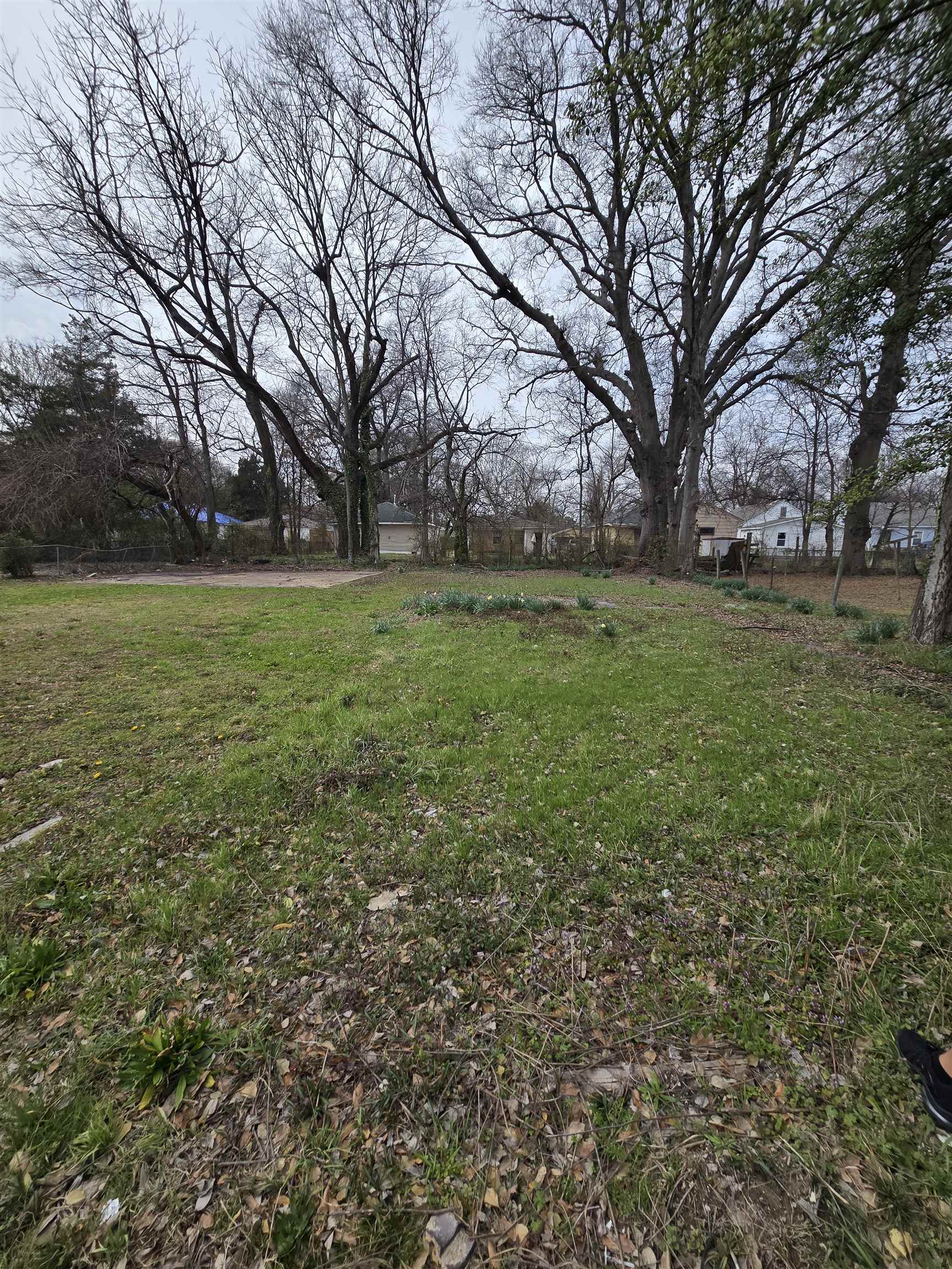 1495 Maplewood St Property Photo 19