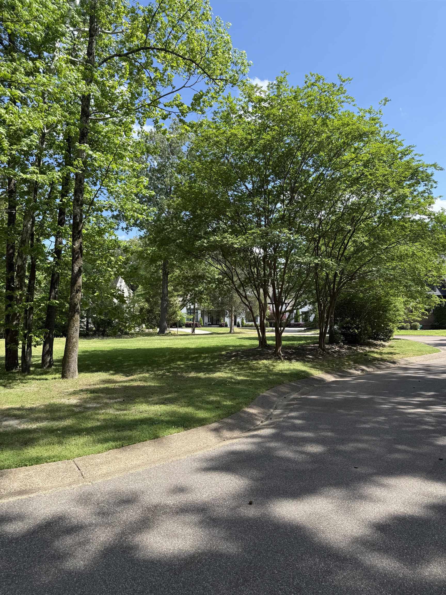 6536 River Green Cove Cv Property Photo 7