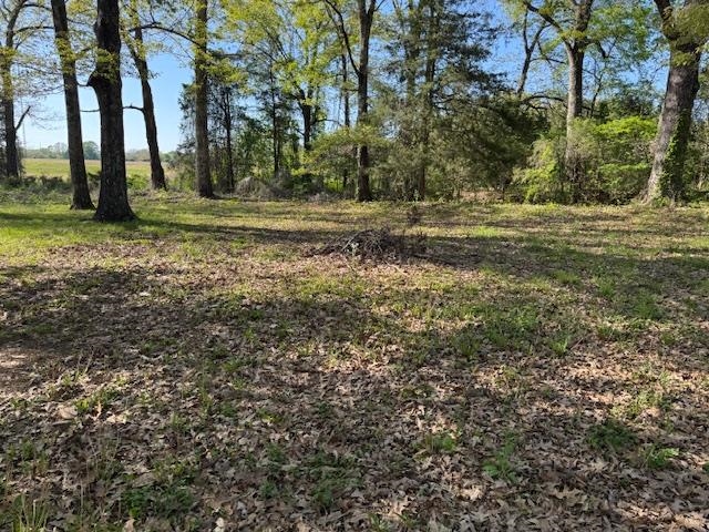 785 Lake Hardeman Rd Property Photo 4