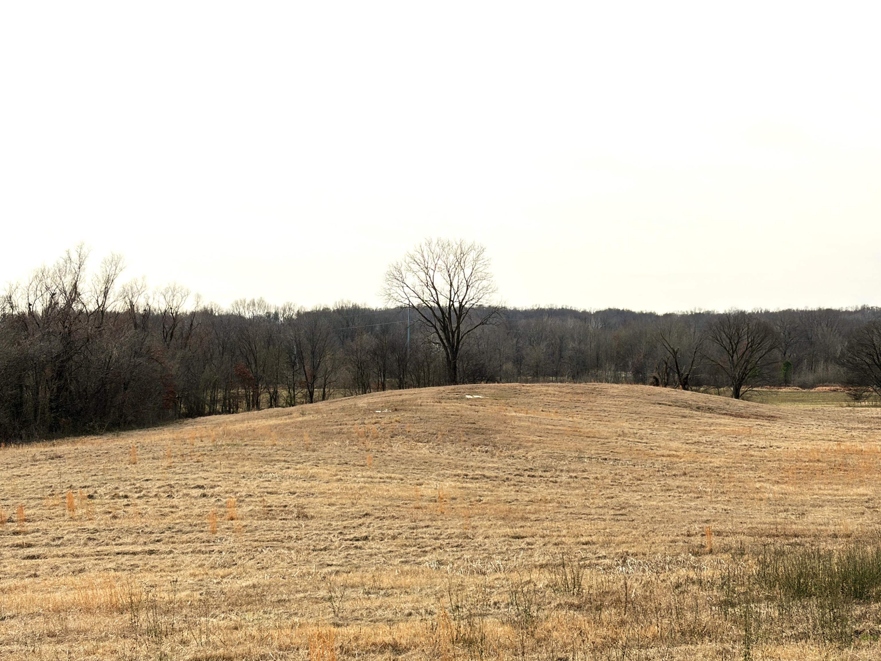 7582-7914 Austin Rd Property Photo 5