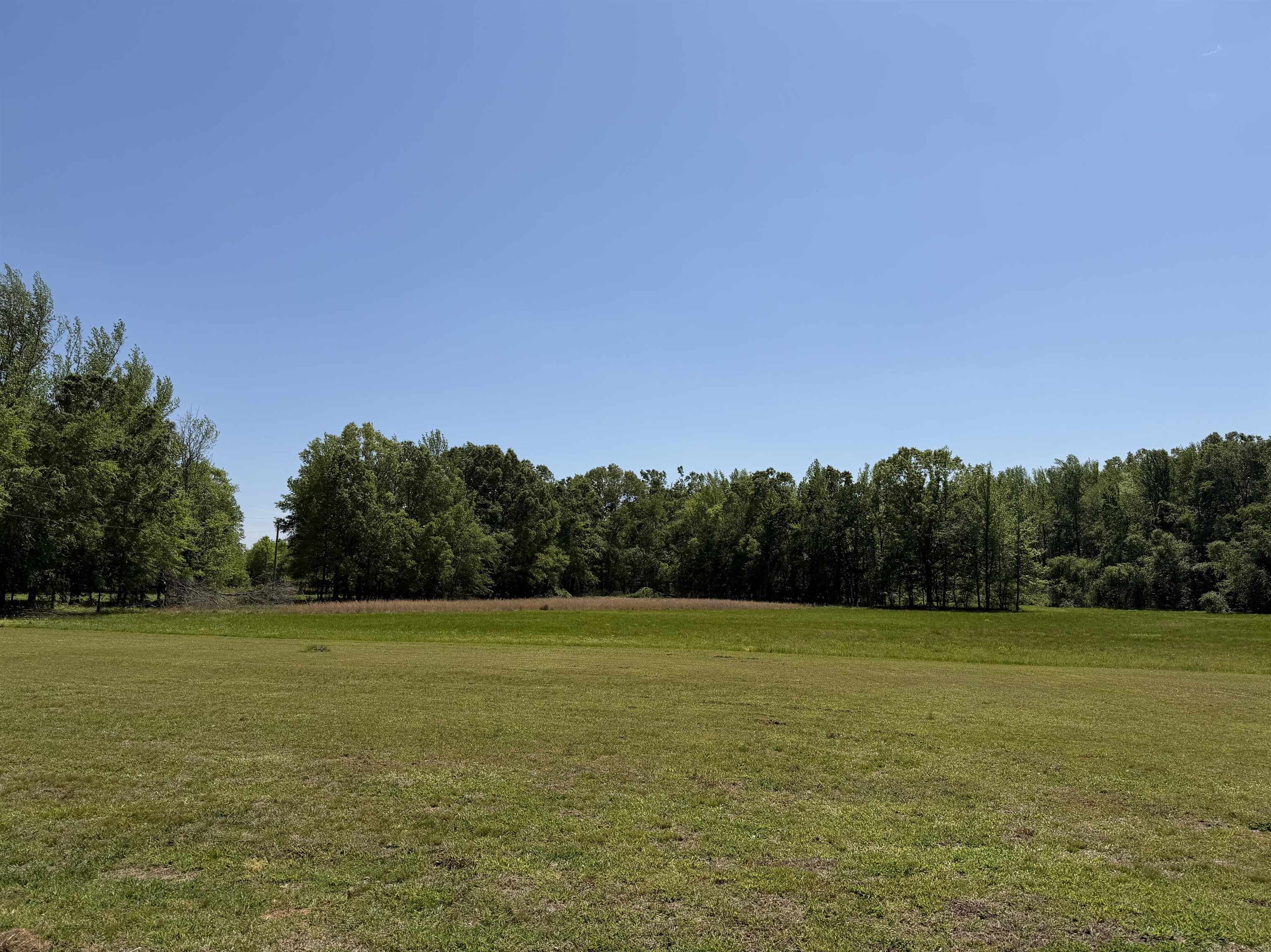 710 Harlon Iron Rd Property Photo 4