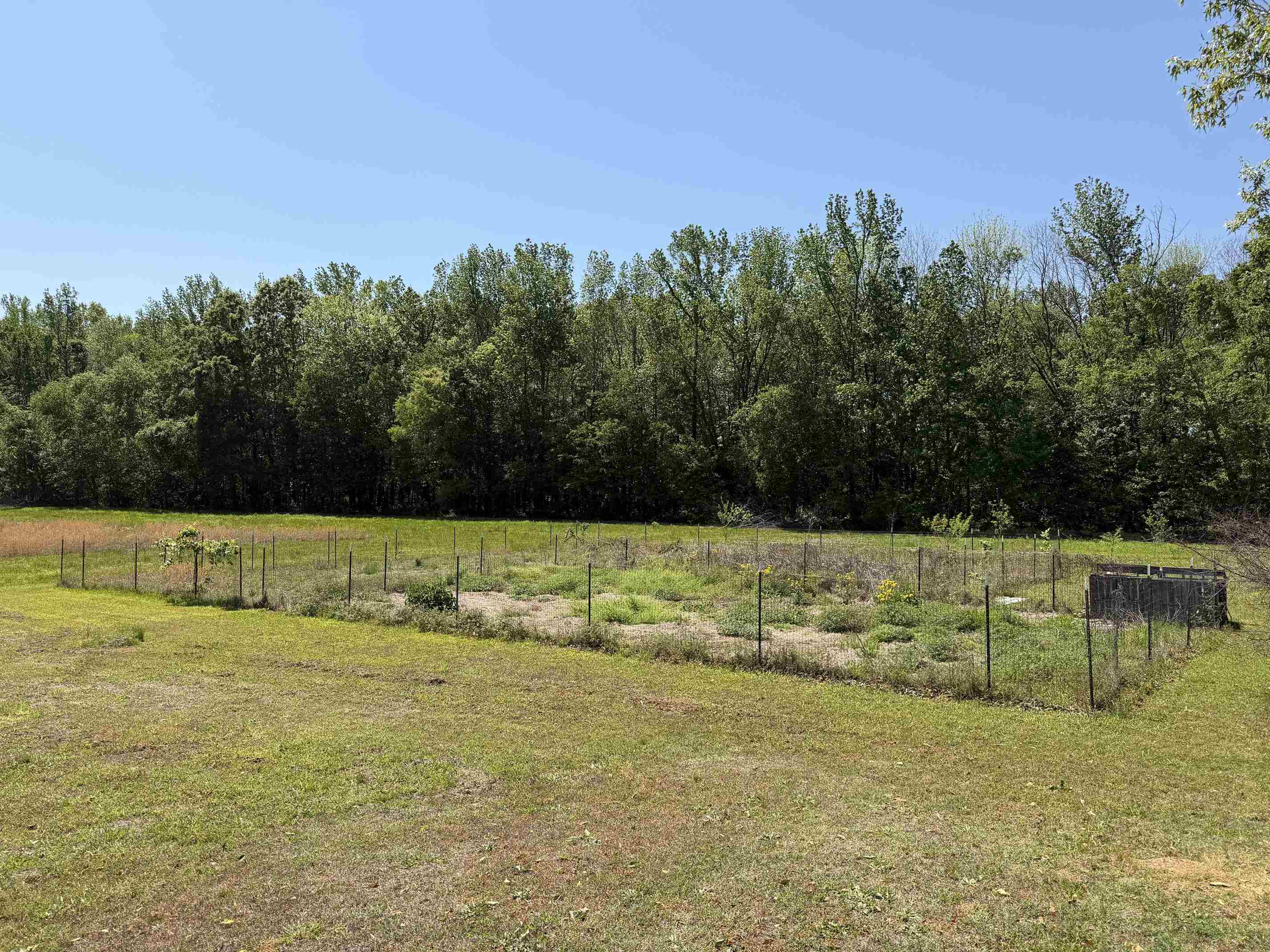 710 Harlon Iron Rd Property Photo 5