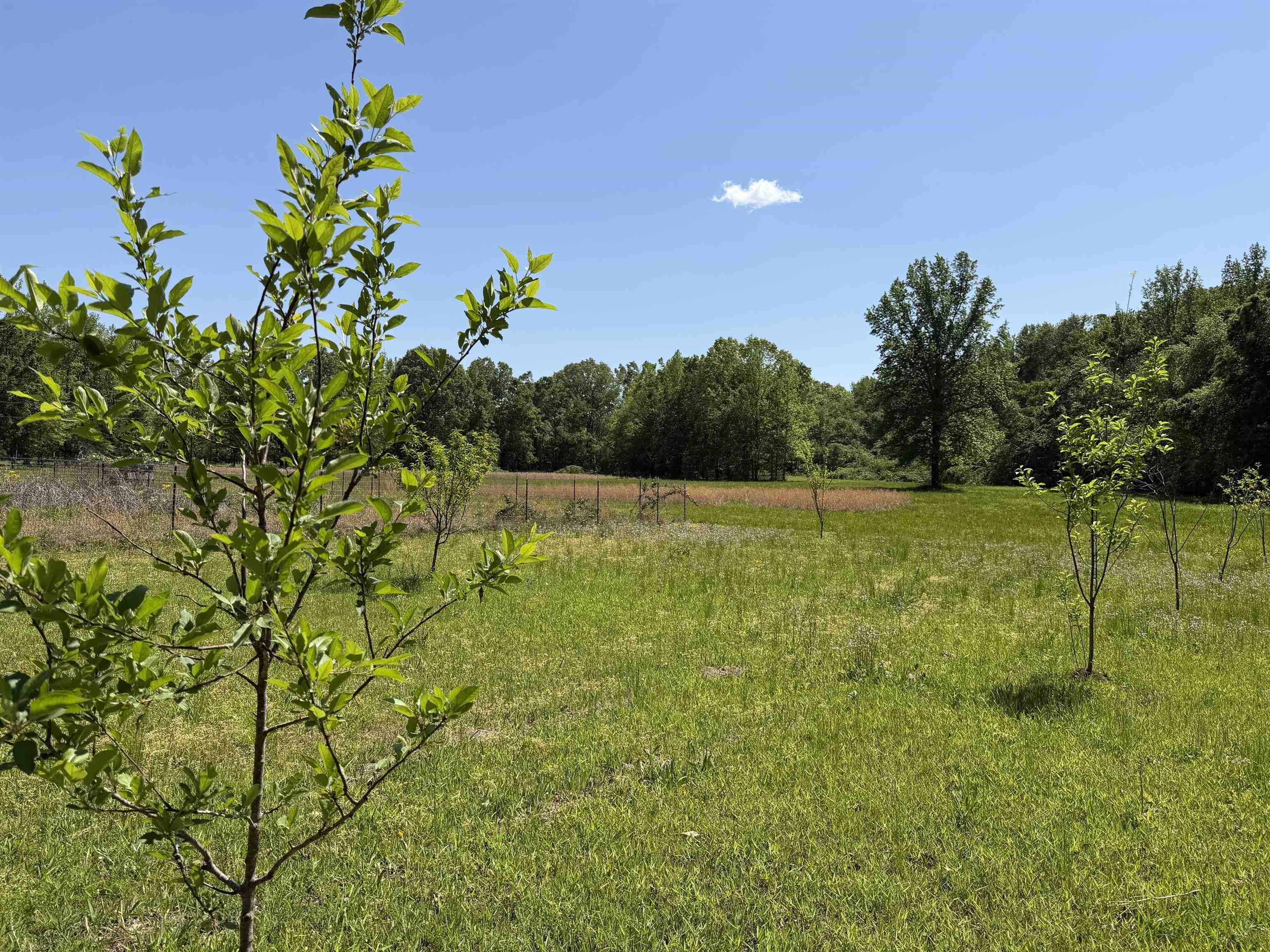 710 Harlon Iron Rd Property Photo 32