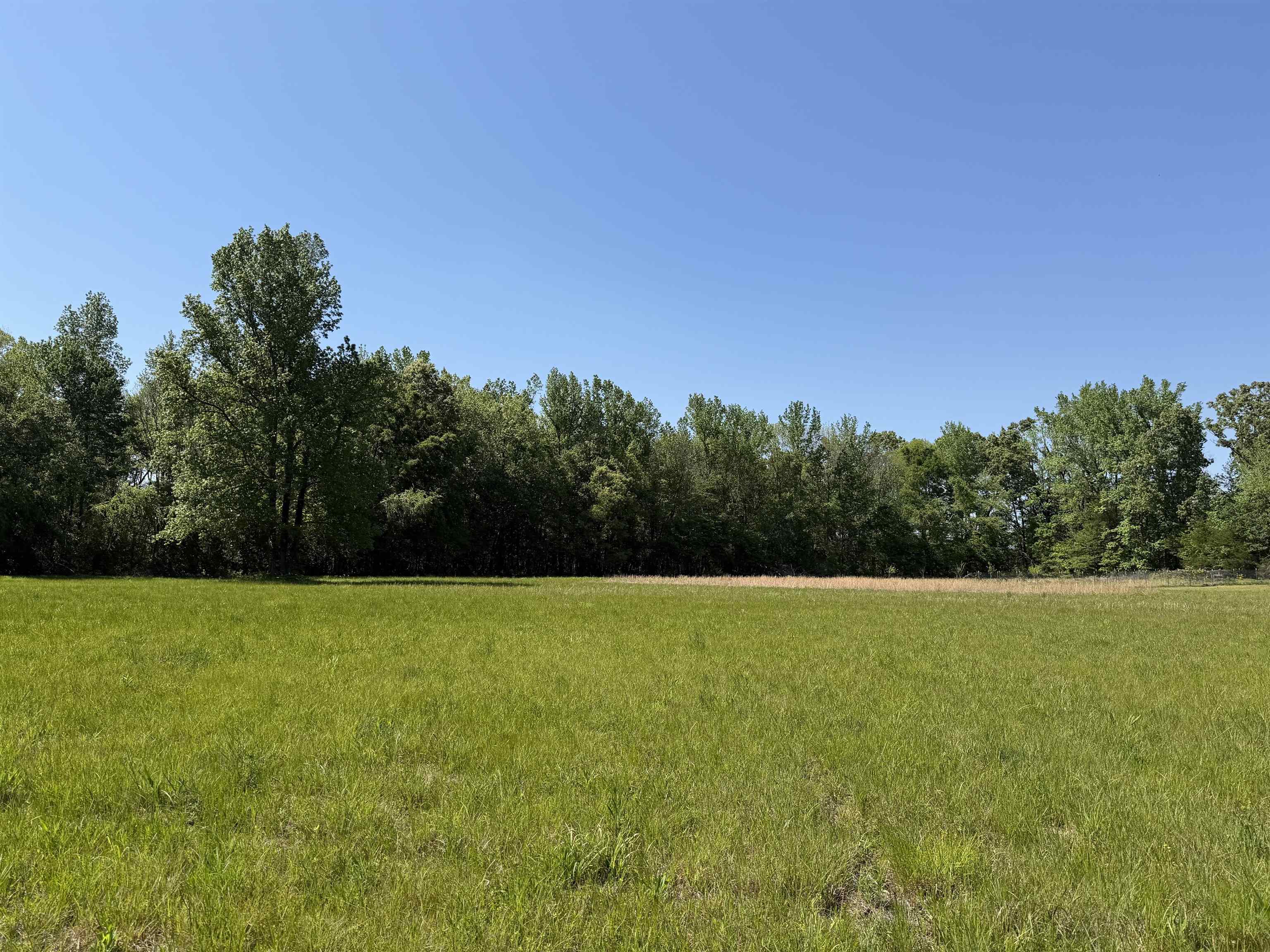 710 Harlon Iron Rd Property Photo 34