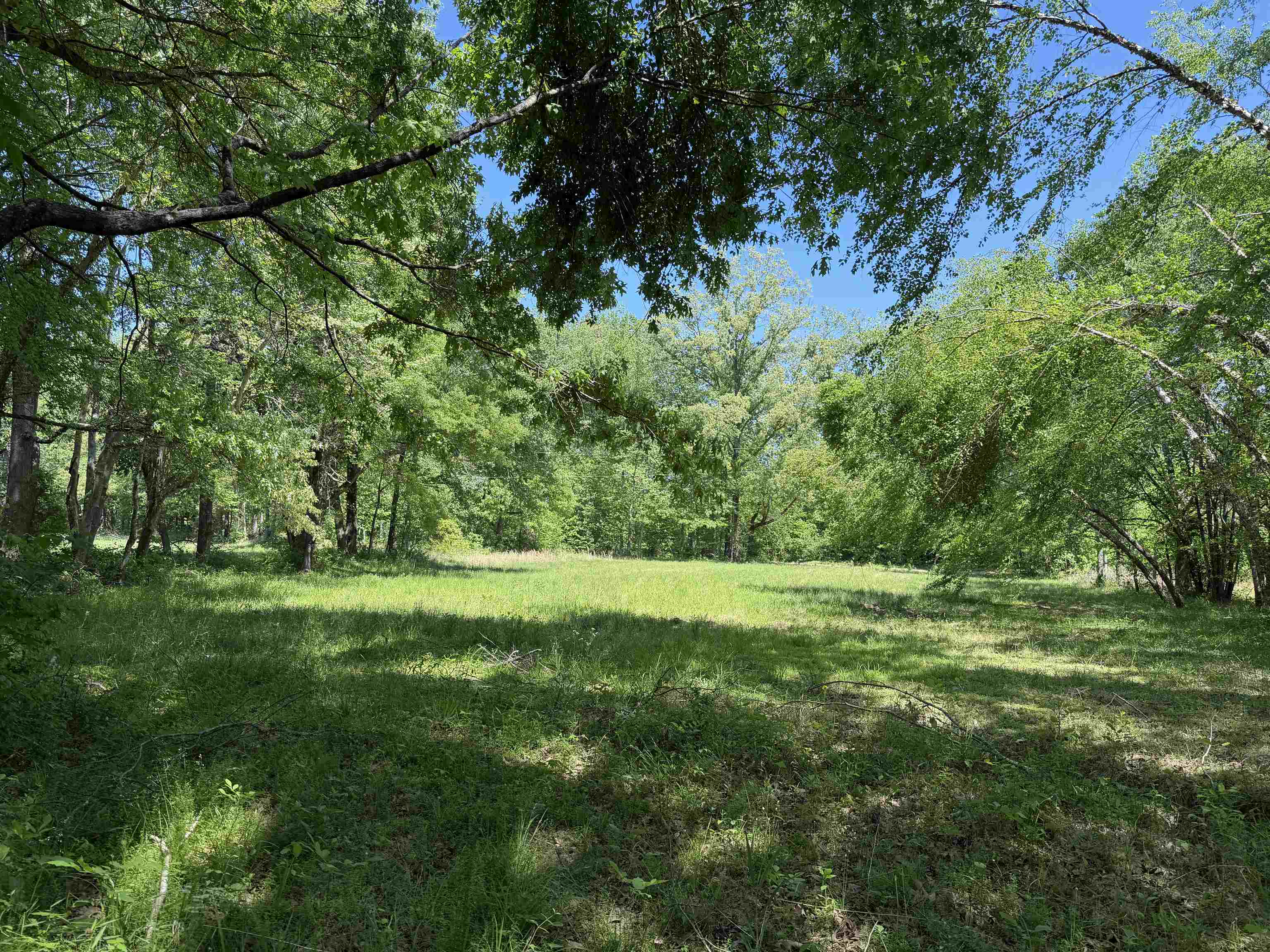 710 Harlon Iron Rd Property Photo 36