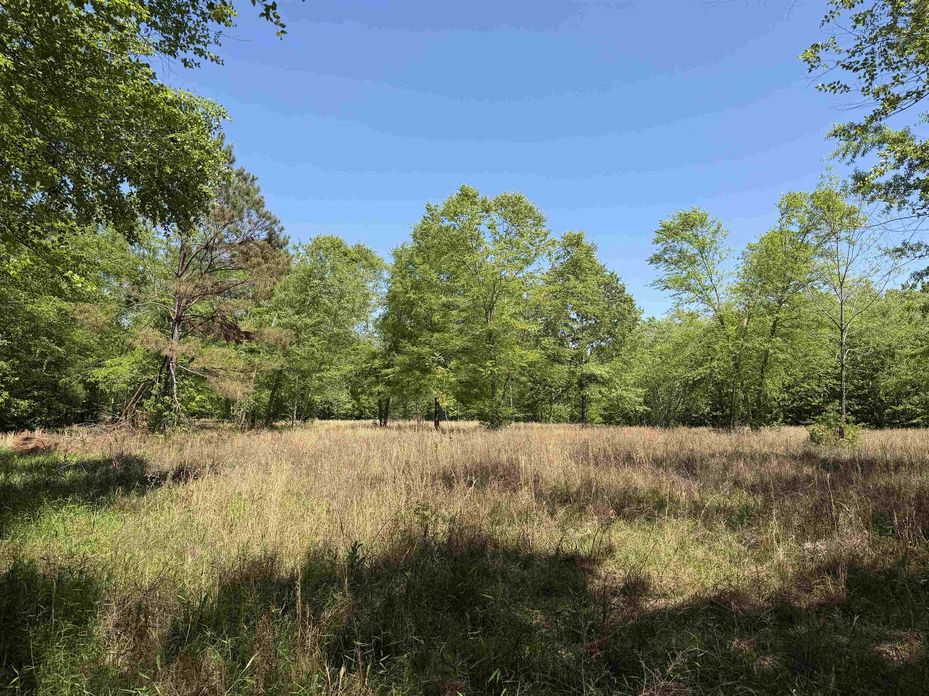 710 Harlon Iron Rd Property Photo 37