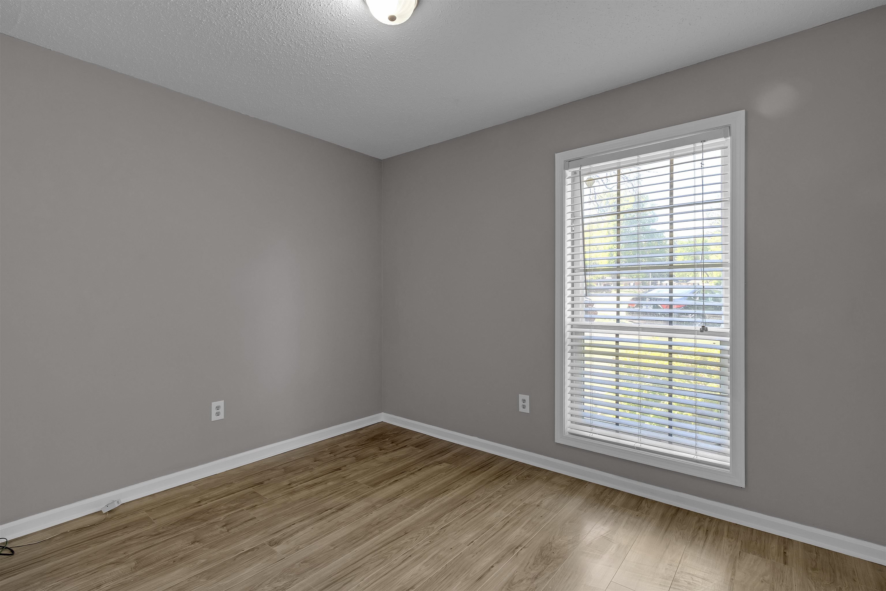 4022 Chinaberry Cv Property Photo 18