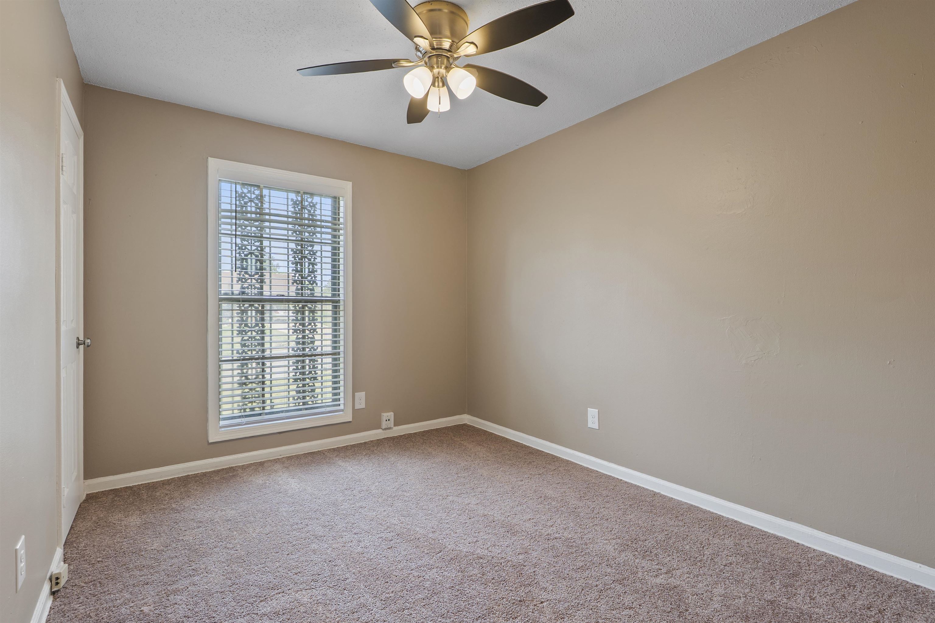 4445 Don St Property Photo 11