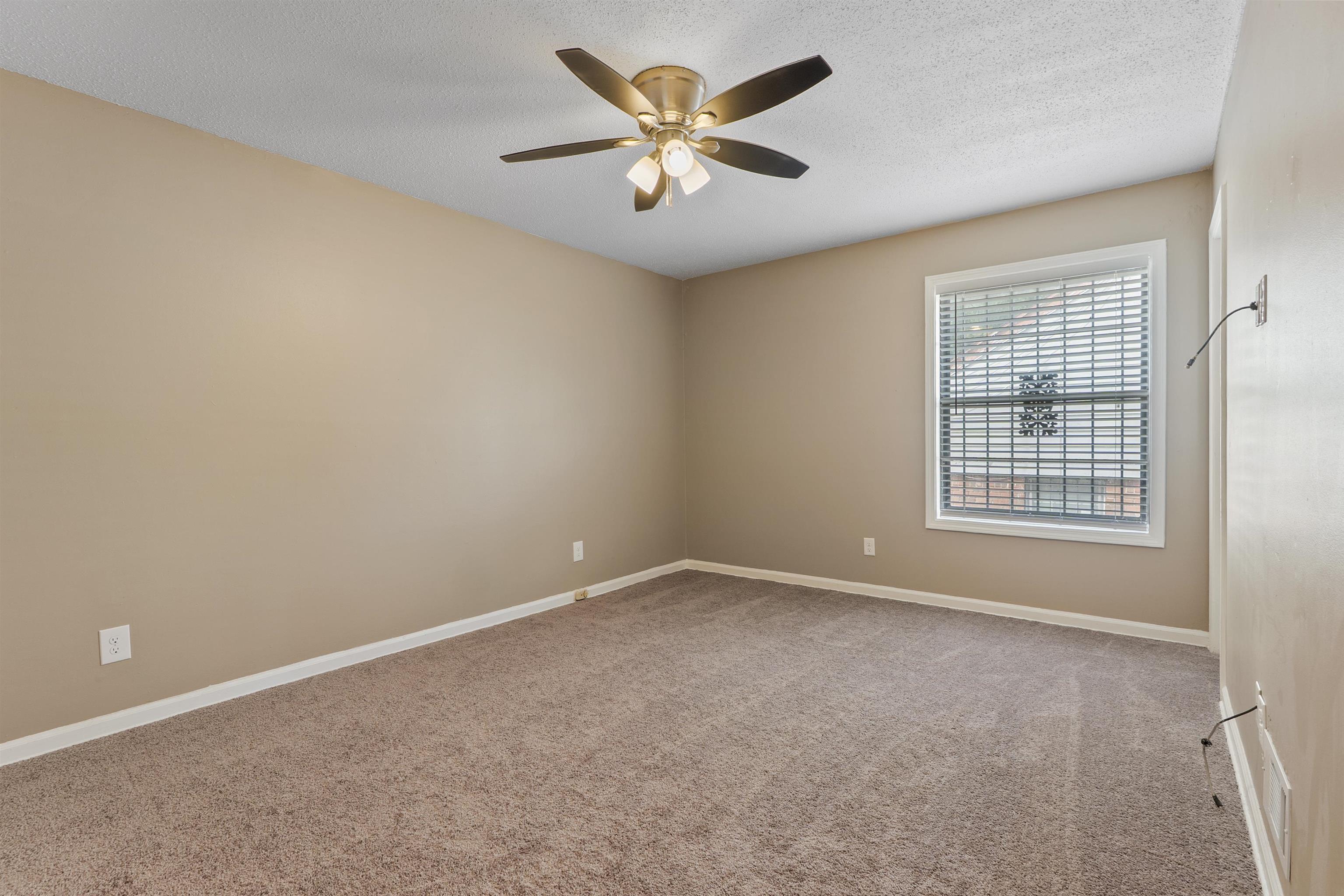 4445 Don St Property Photo 13