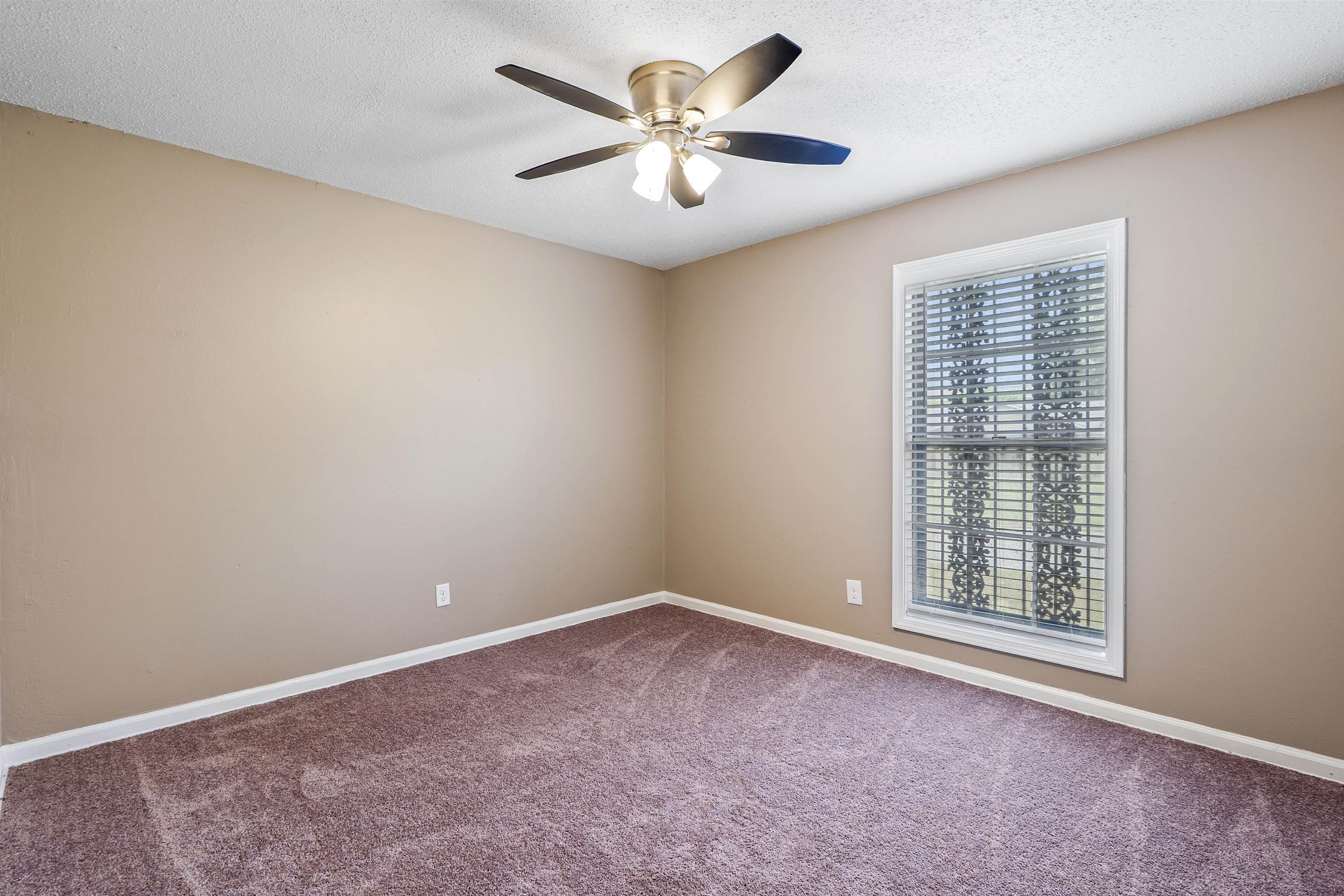 4445 Don St Property Photo 17