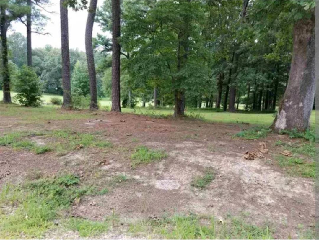217 Parkburg Rd Property Photo 2