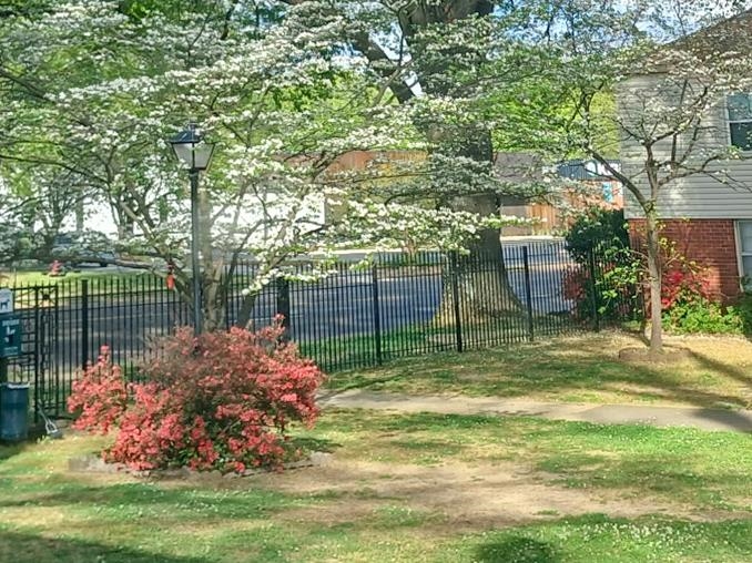 2991 Walnut Grove Rd 2 Property Photo 2