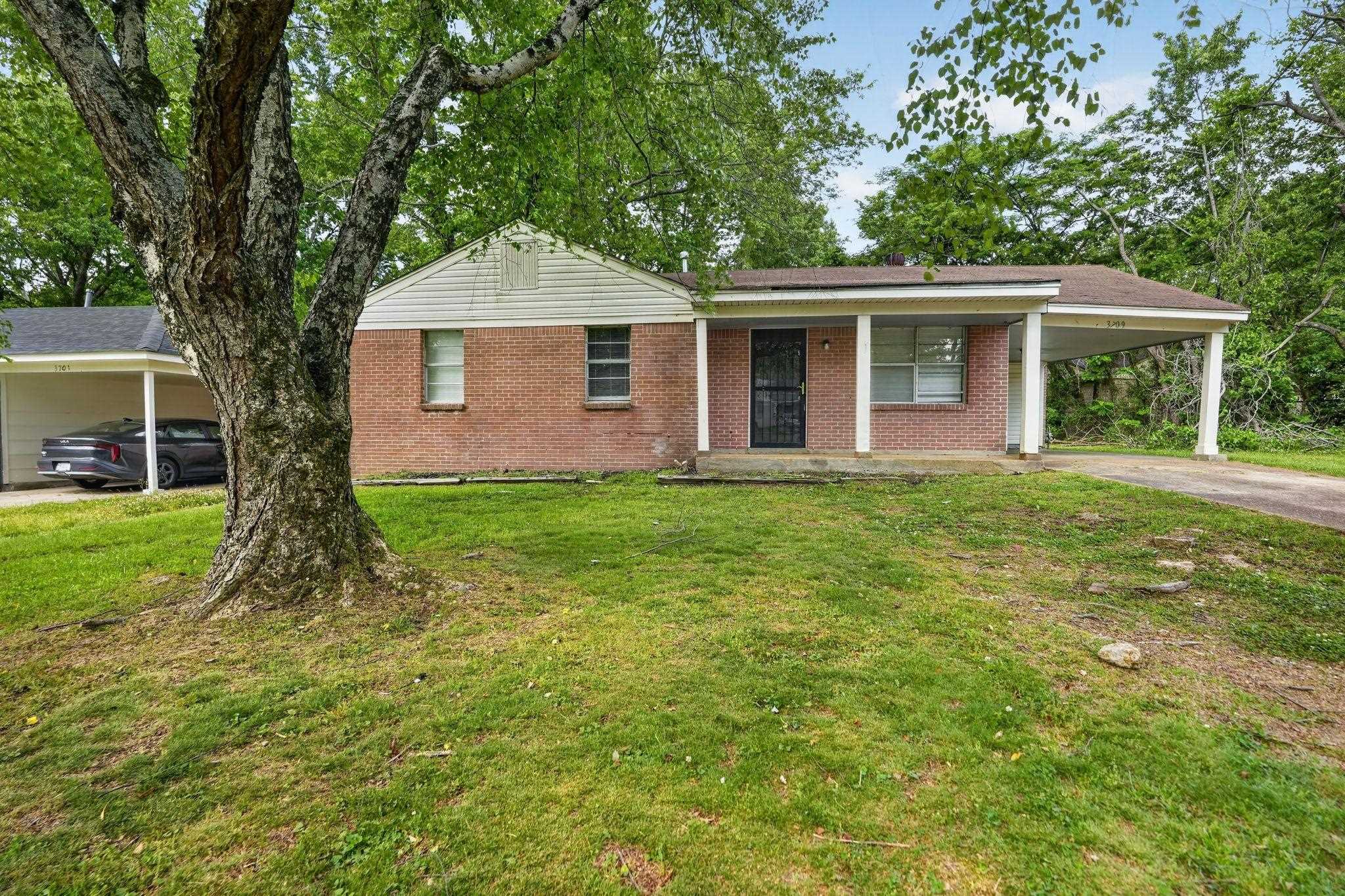 3709 Dorado Cv Property Photo 3