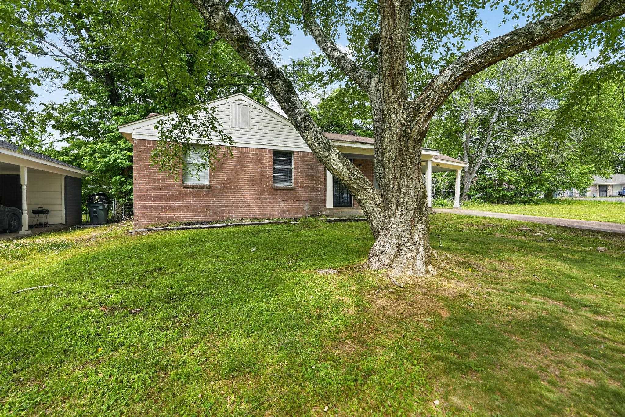 3709 Dorado Cv Property Photo 6