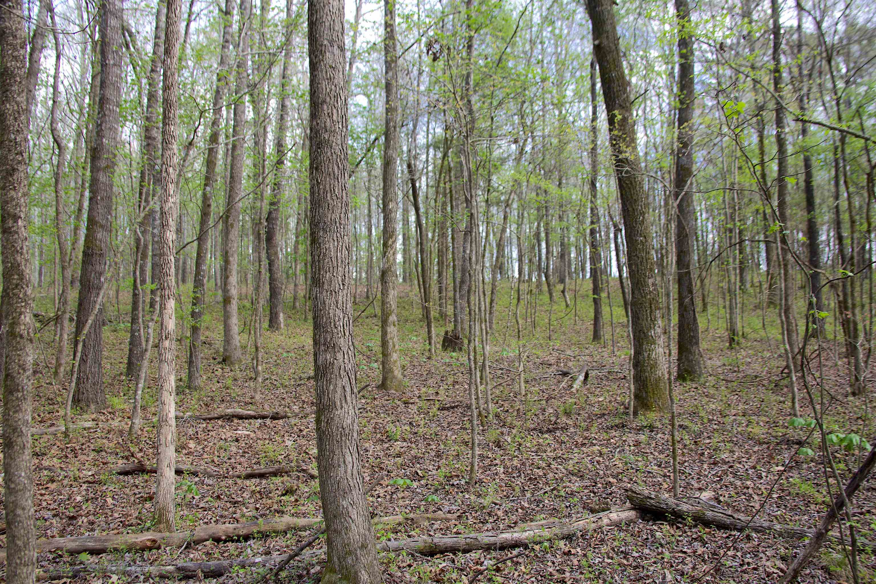 780 Breedlove Rd Property Photo 2