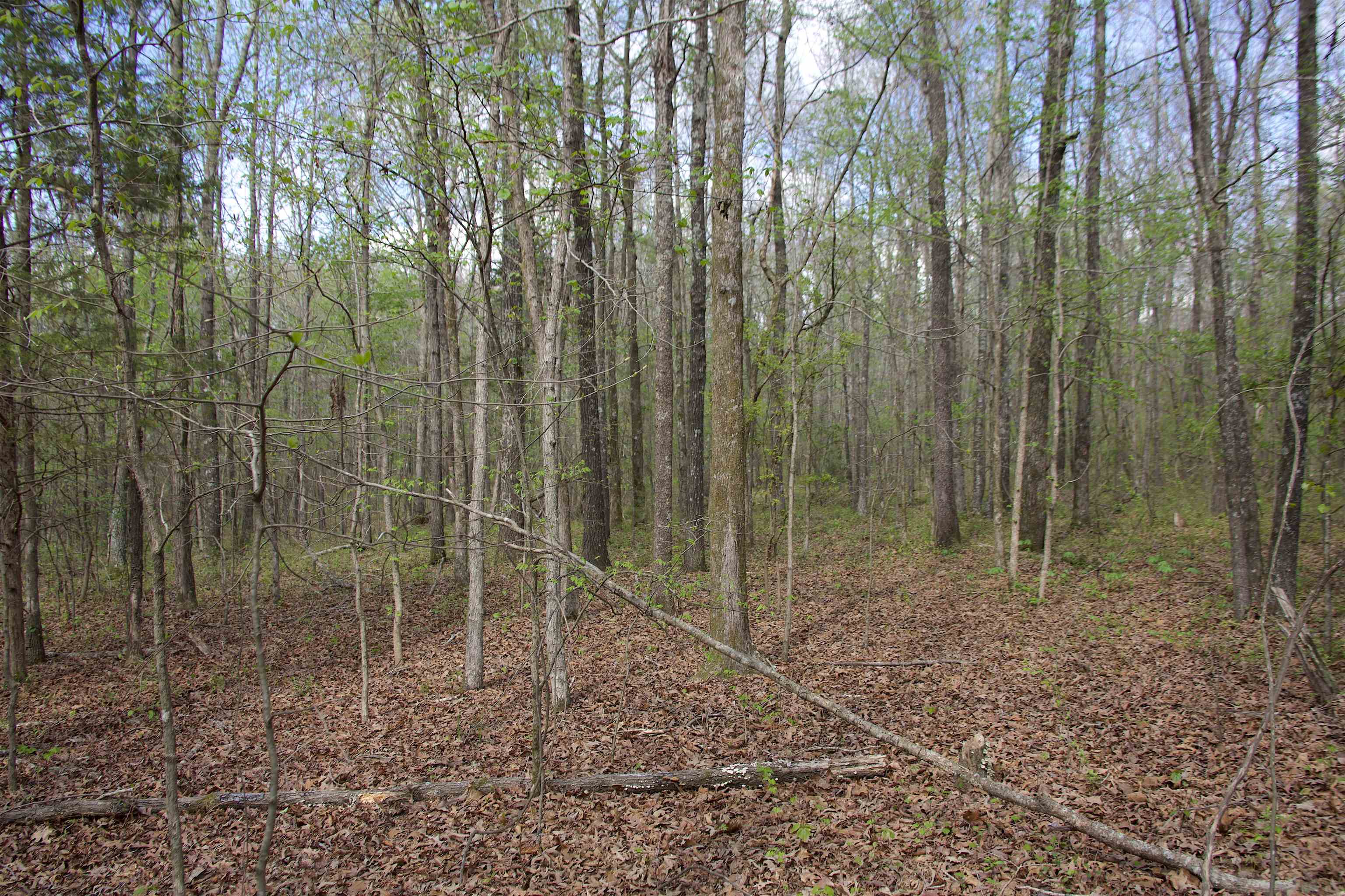 780 Breedlove Rd Property Photo 7