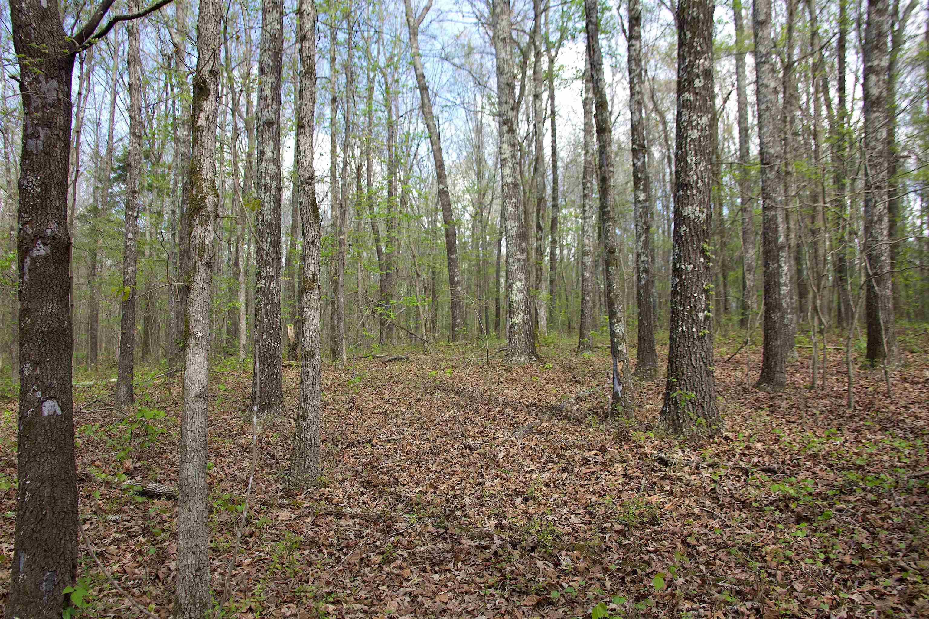 780 Breedlove Rd Property Photo 9