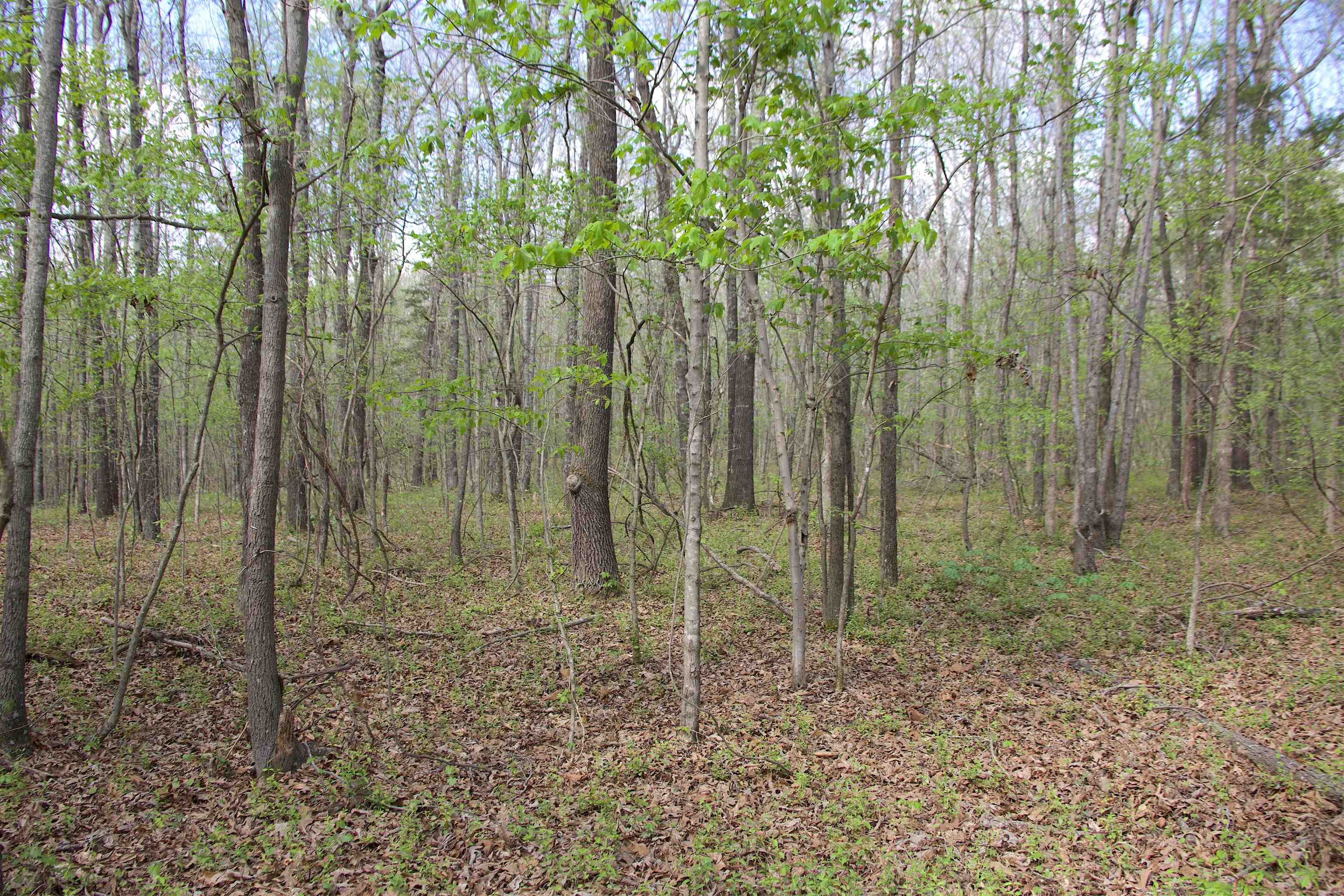 780 Breedlove Rd Property Photo 10