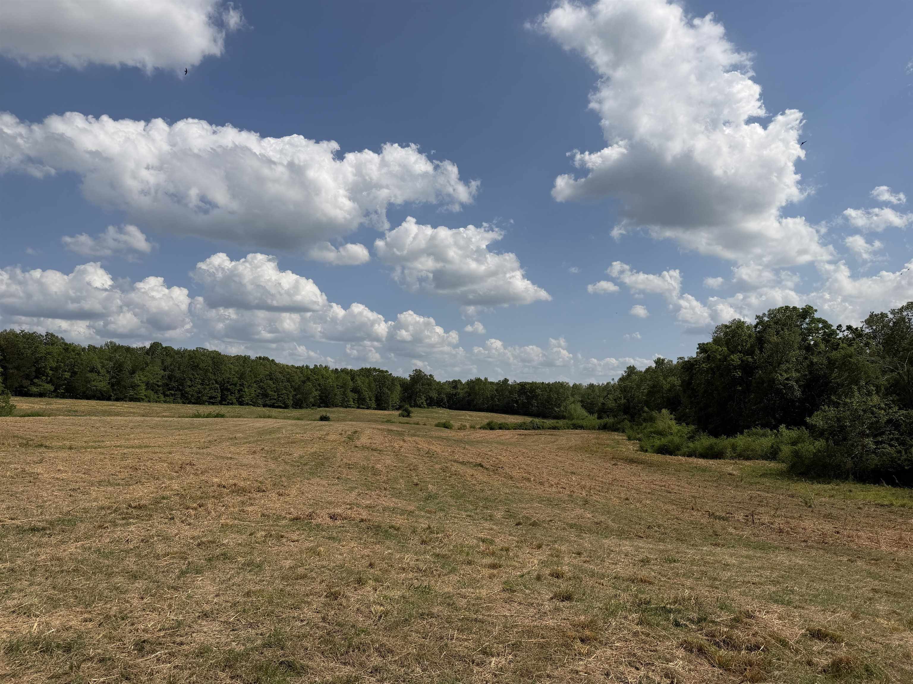 2 Saltillo Rd Property Photo 10