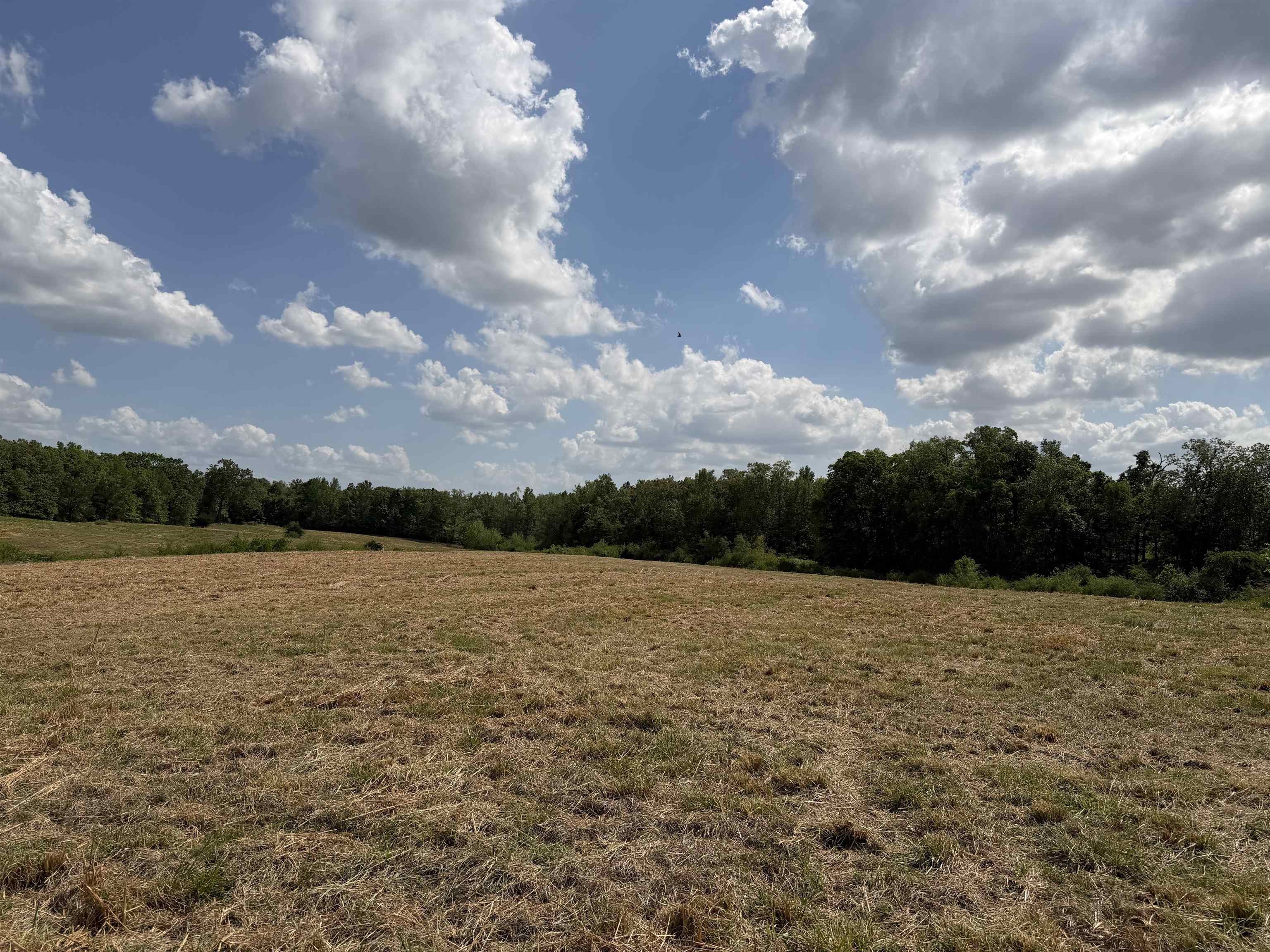 2 Saltillo Rd Property Photo 11