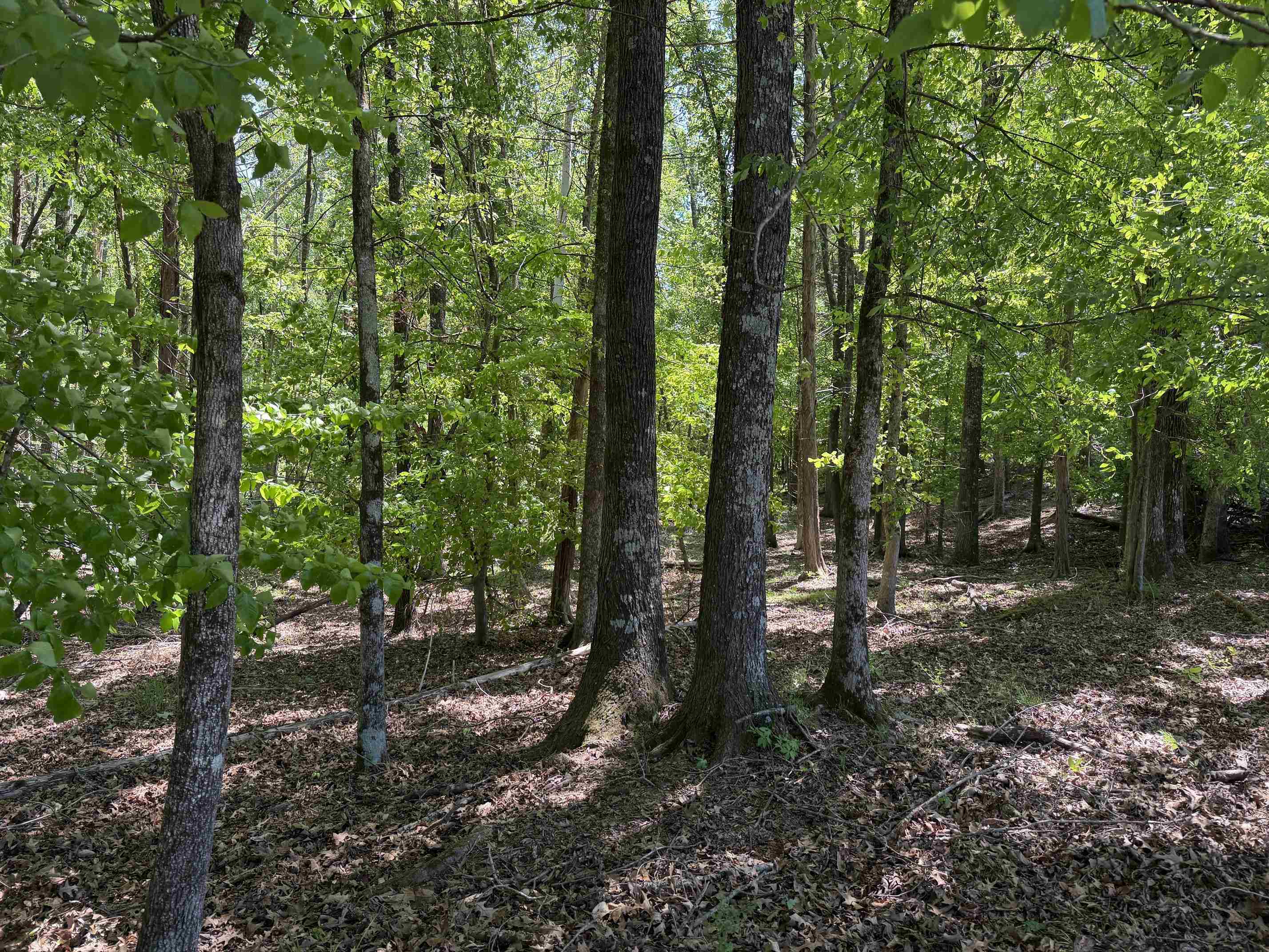 2 Saltillo Rd Property Photo 14