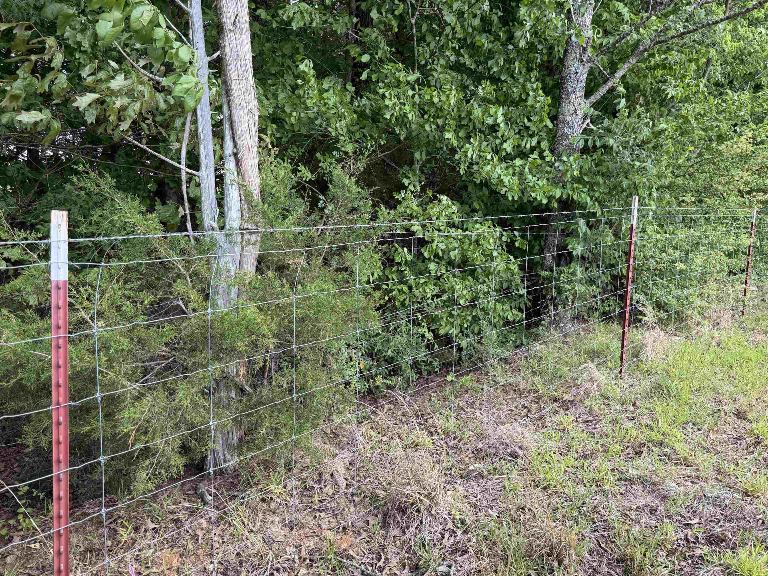 2 Saltillo Rd Property Photo 15