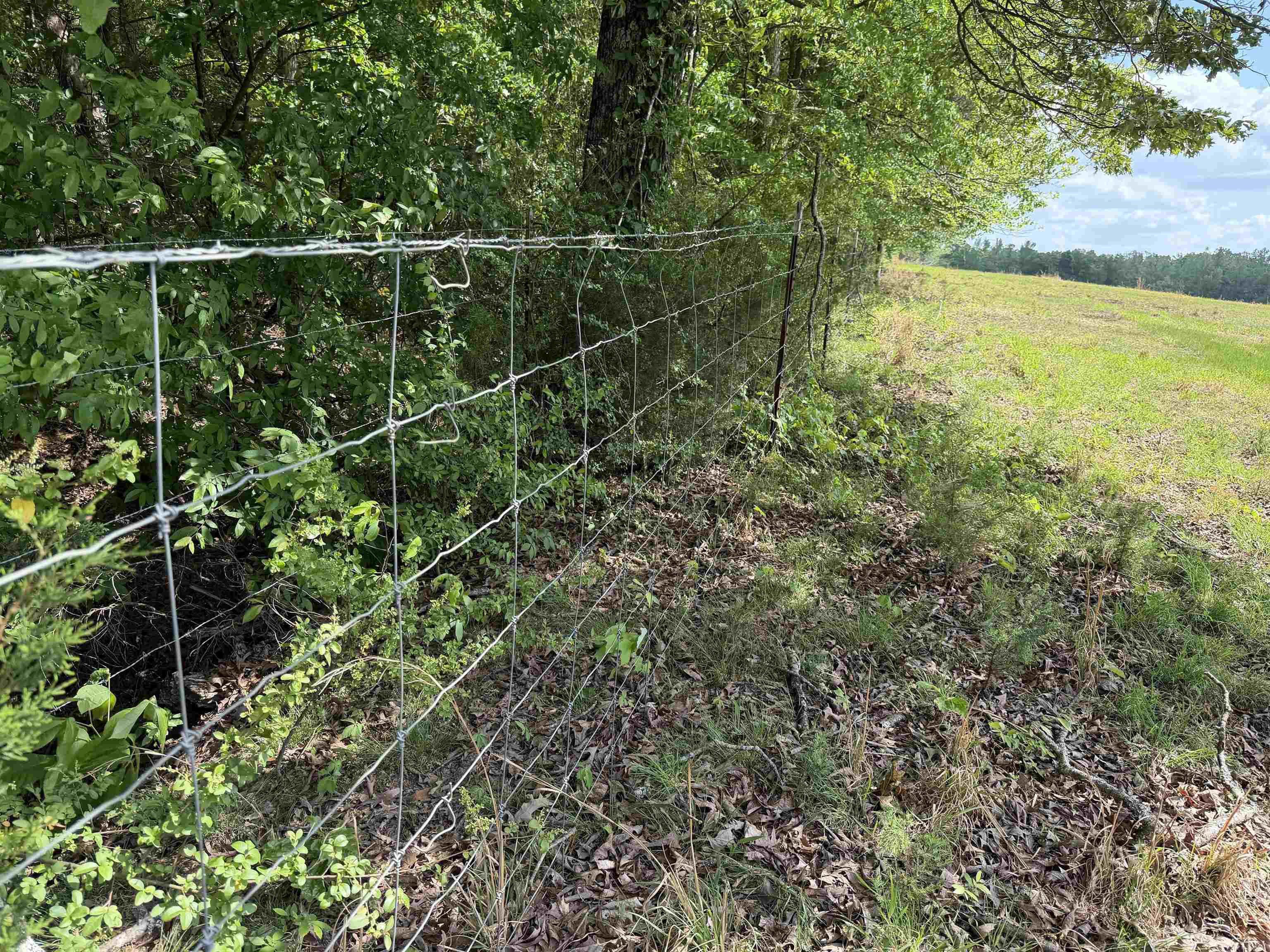 2 Saltillo Rd Property Photo 16