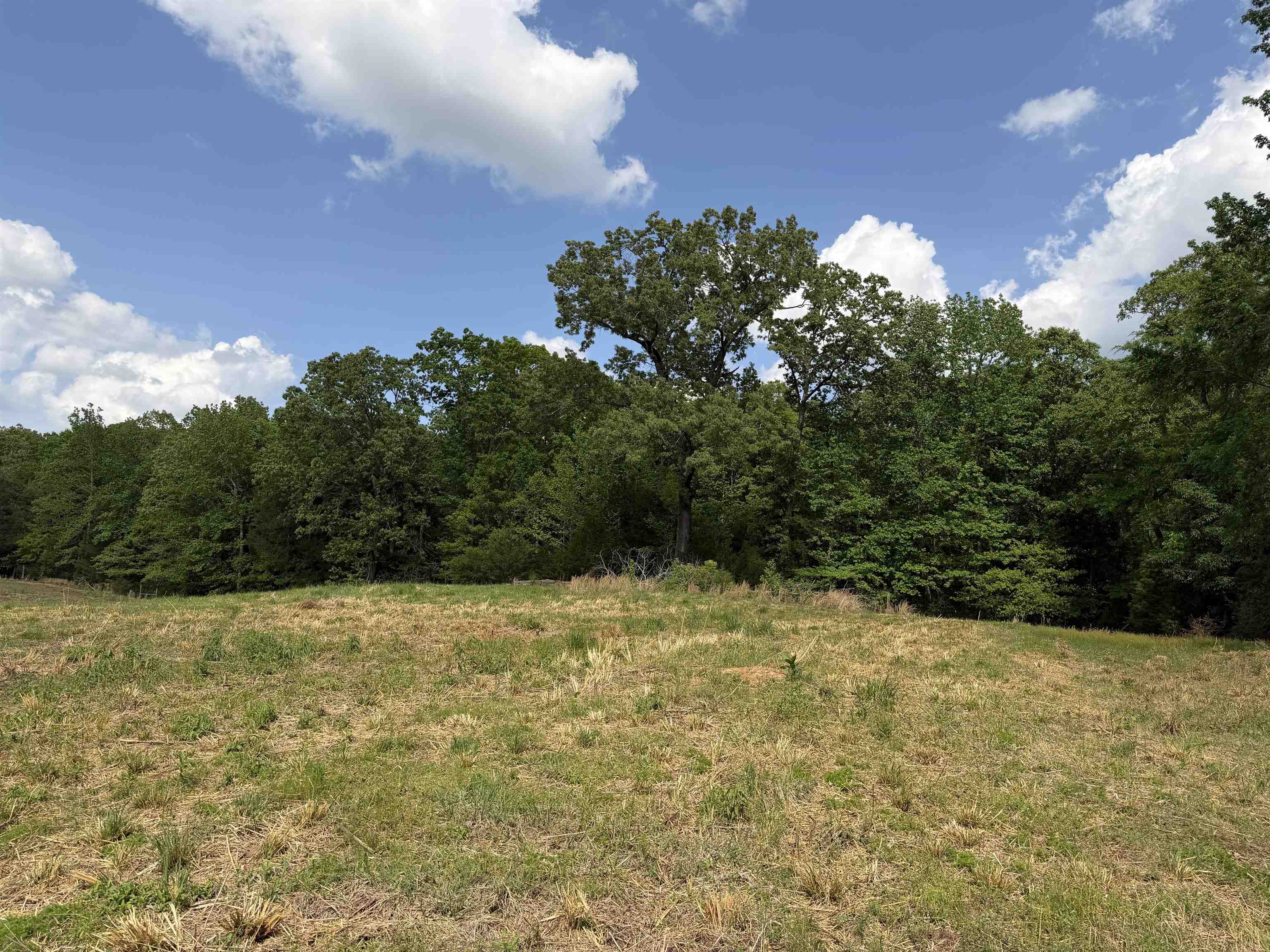 2 Saltillo Rd Property Photo 19